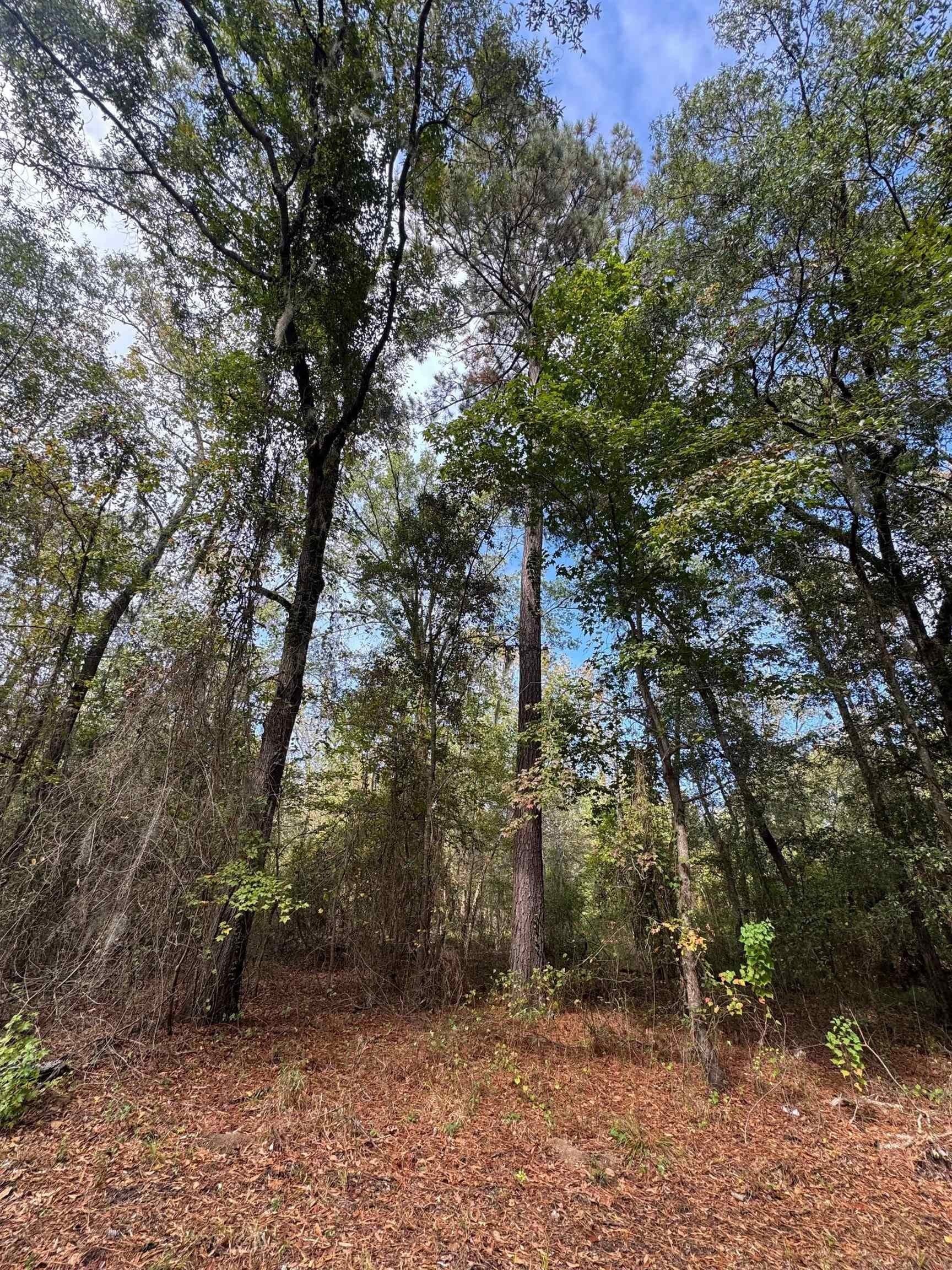 0.36 acres in Harrison County - photo 7