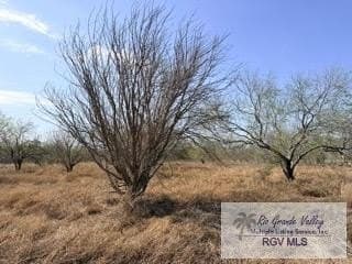 1 acres in CAMERON County