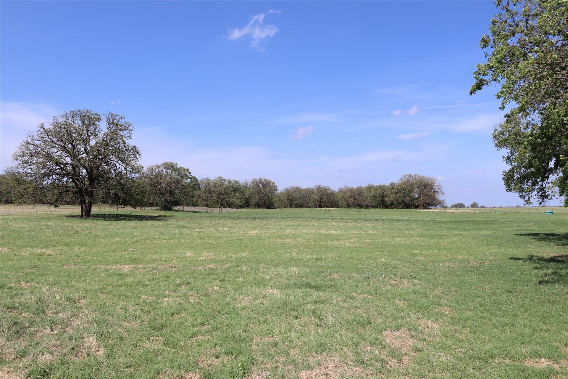 124.79 acres in Clay County - photo 13