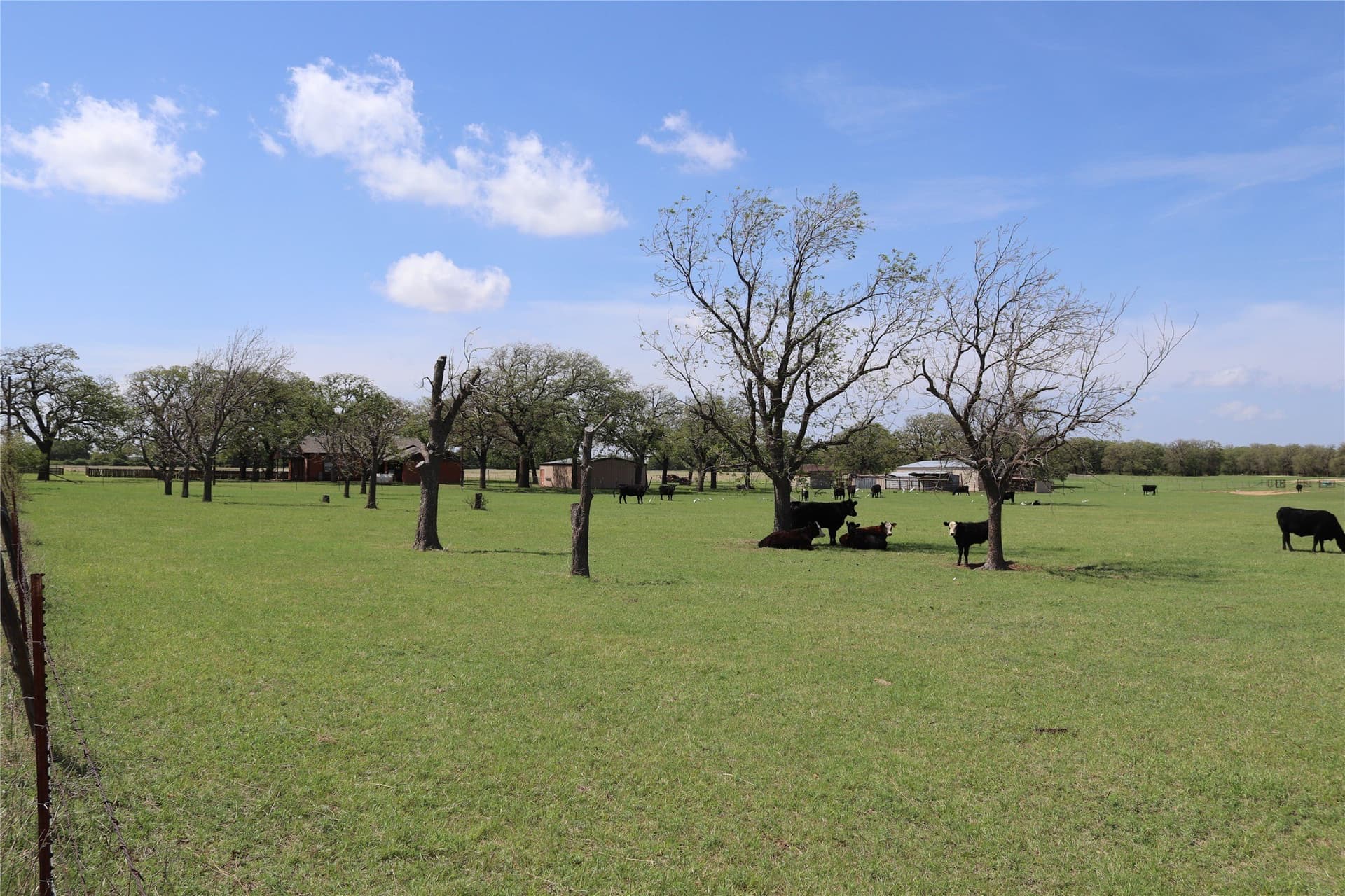 124.79 acres in Clay County - photo 6