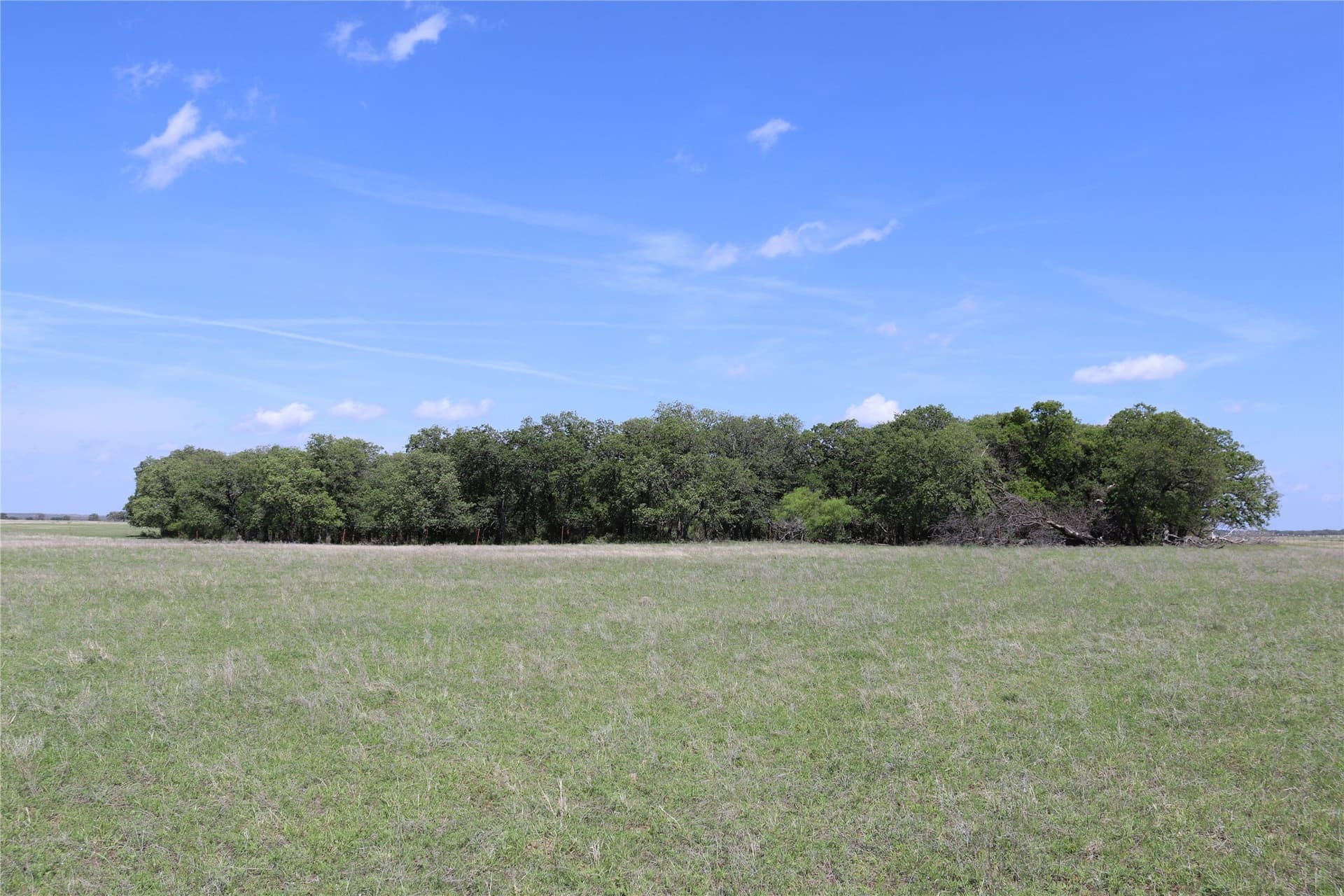 124.79 acres in Clay County - photo 17