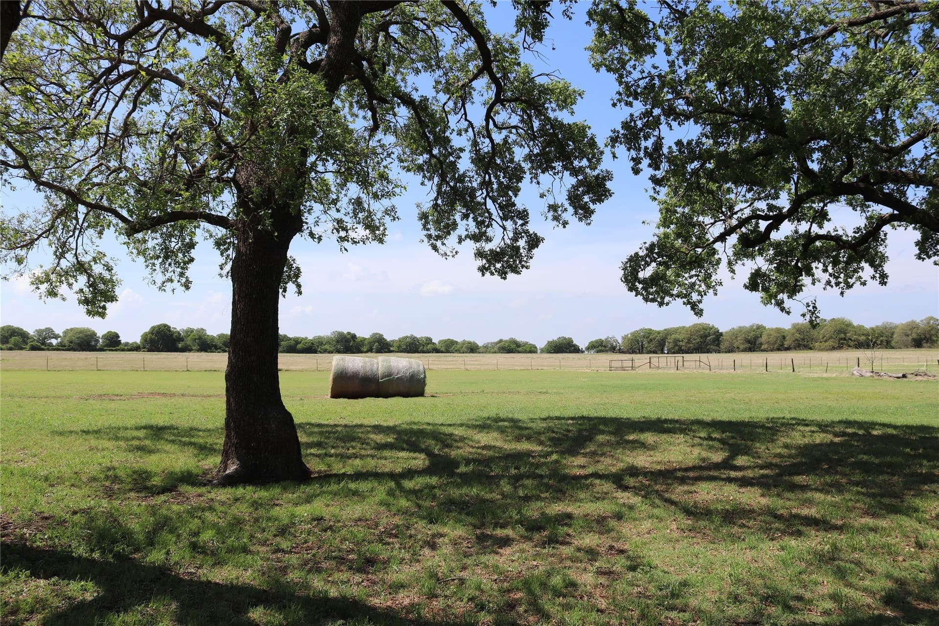 124.79 acres in Clay County - photo 5