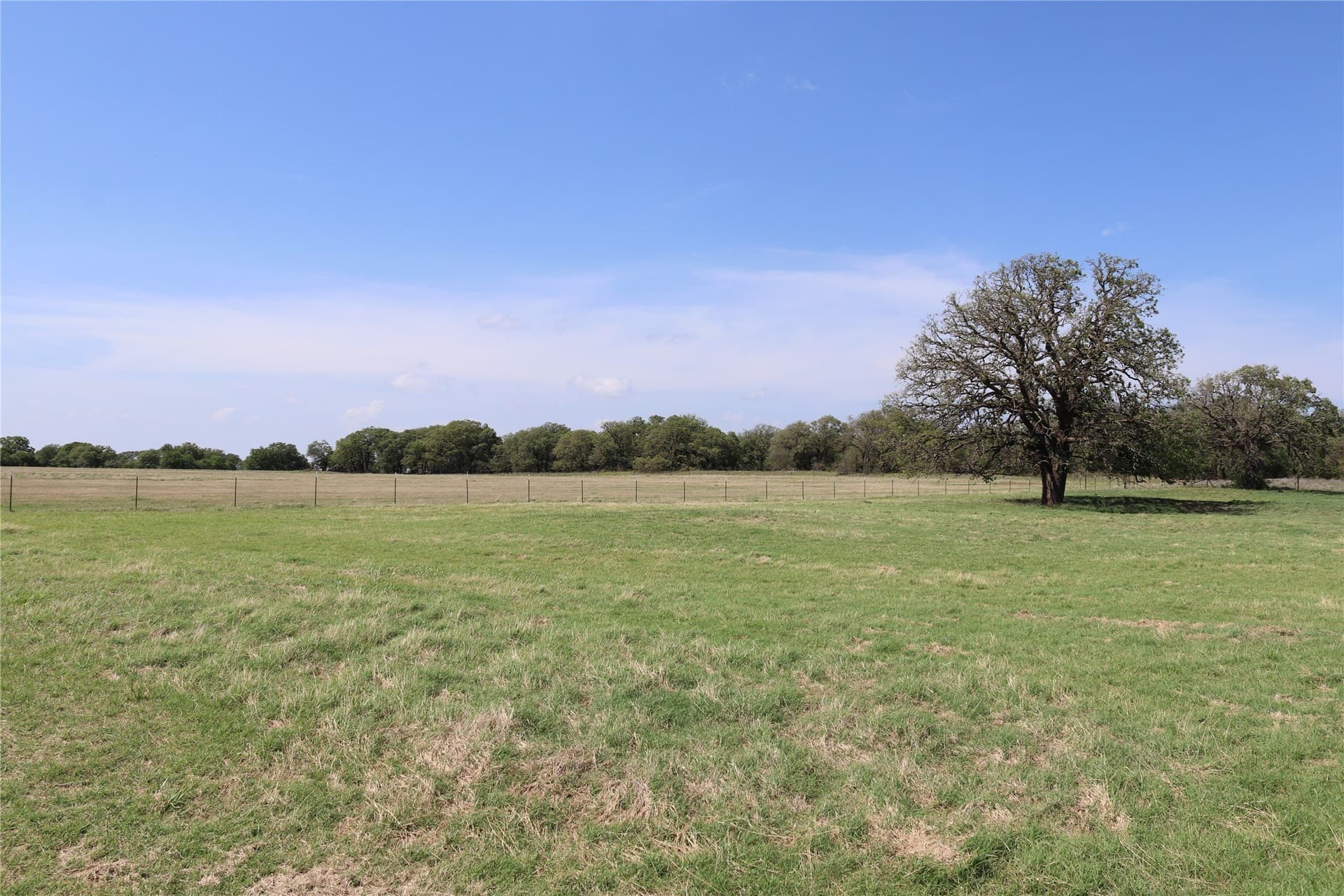124.79 acres in Clay County - photo 14