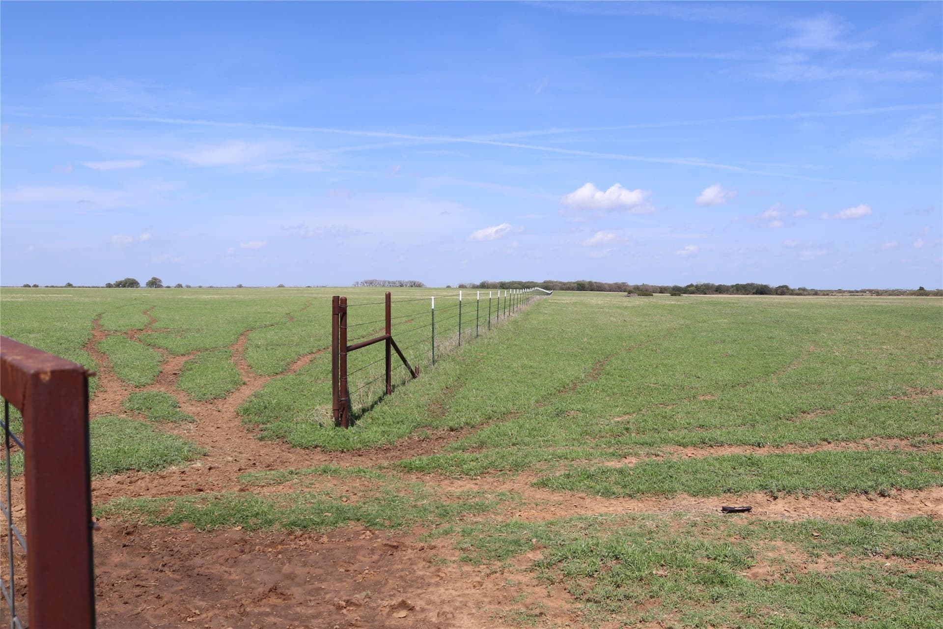 124.79 acres in Clay County - photo 15
