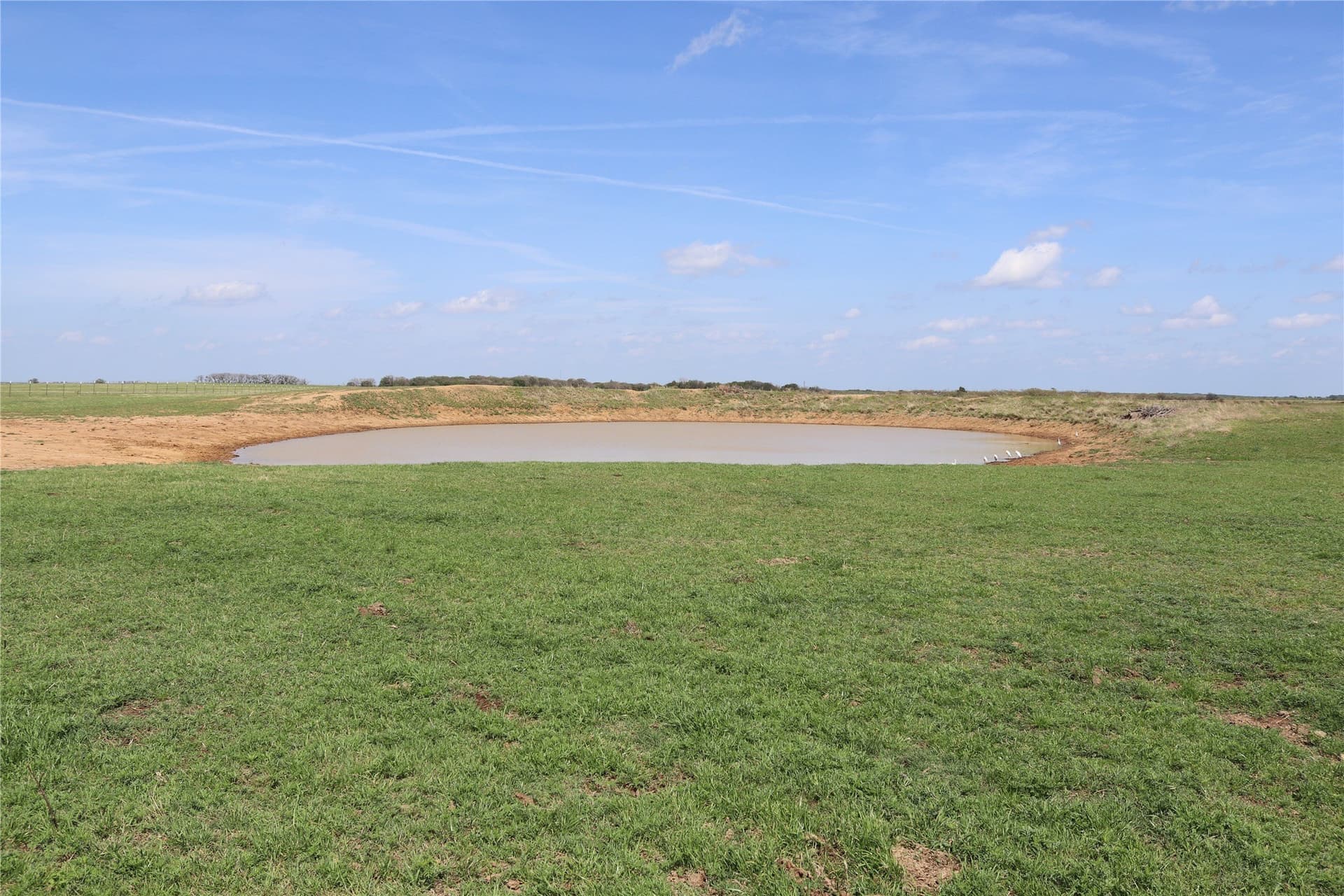 124.79 acres in Clay County - photo 12