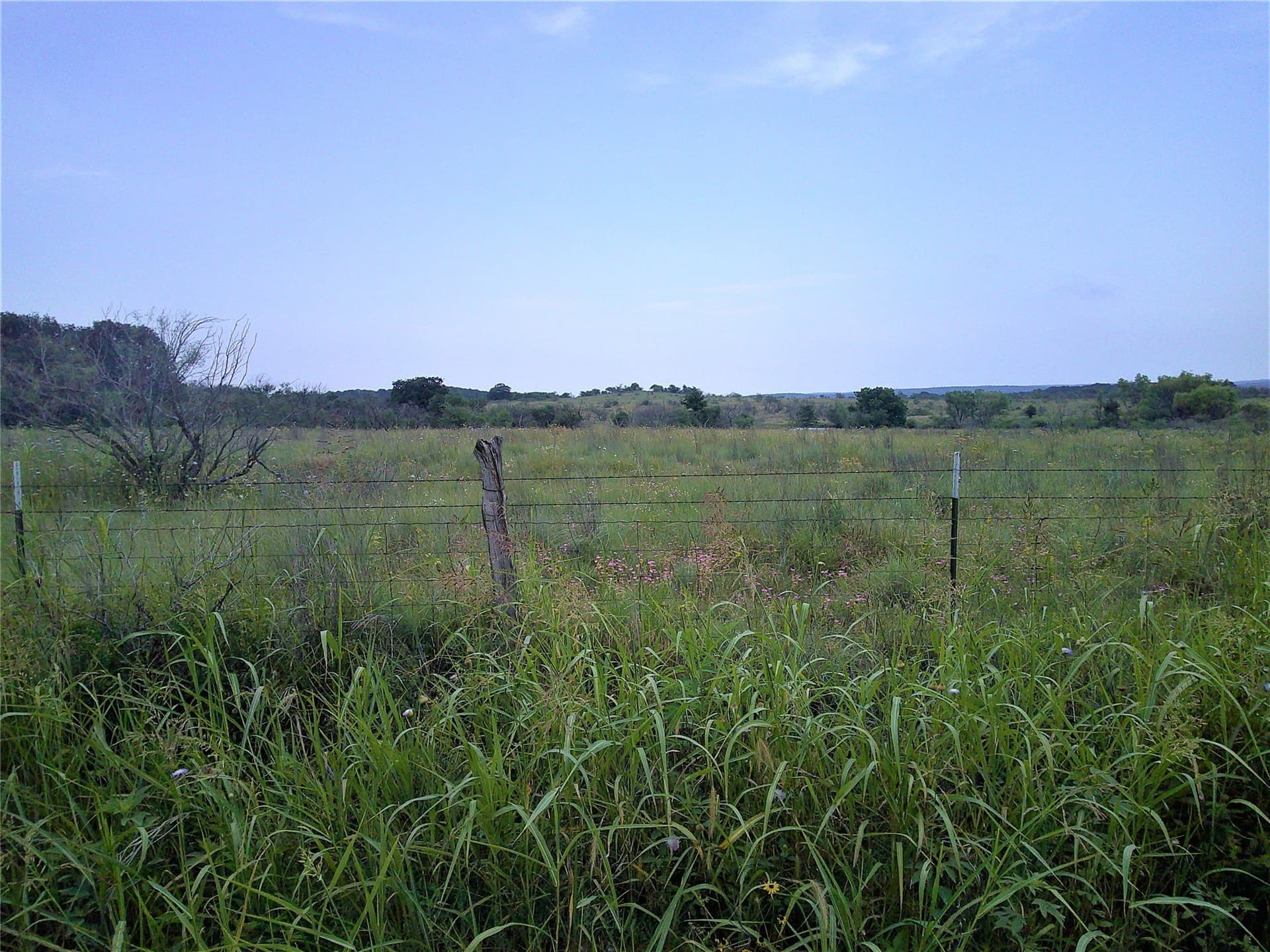 25 acres in Clay County - photo 3