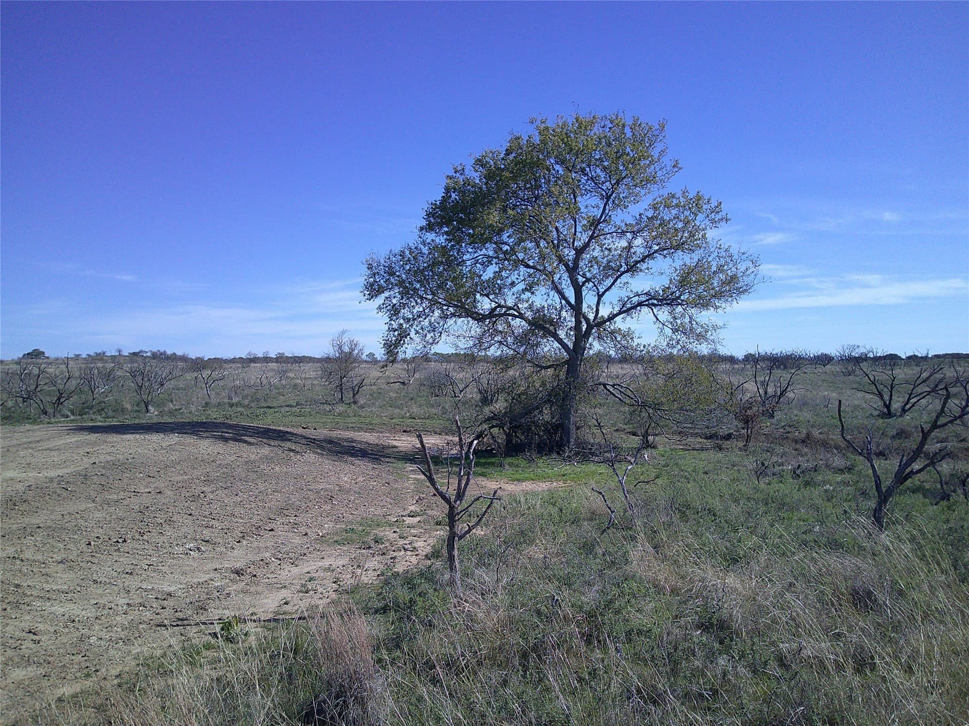 25 acres in Clay County - photo 11