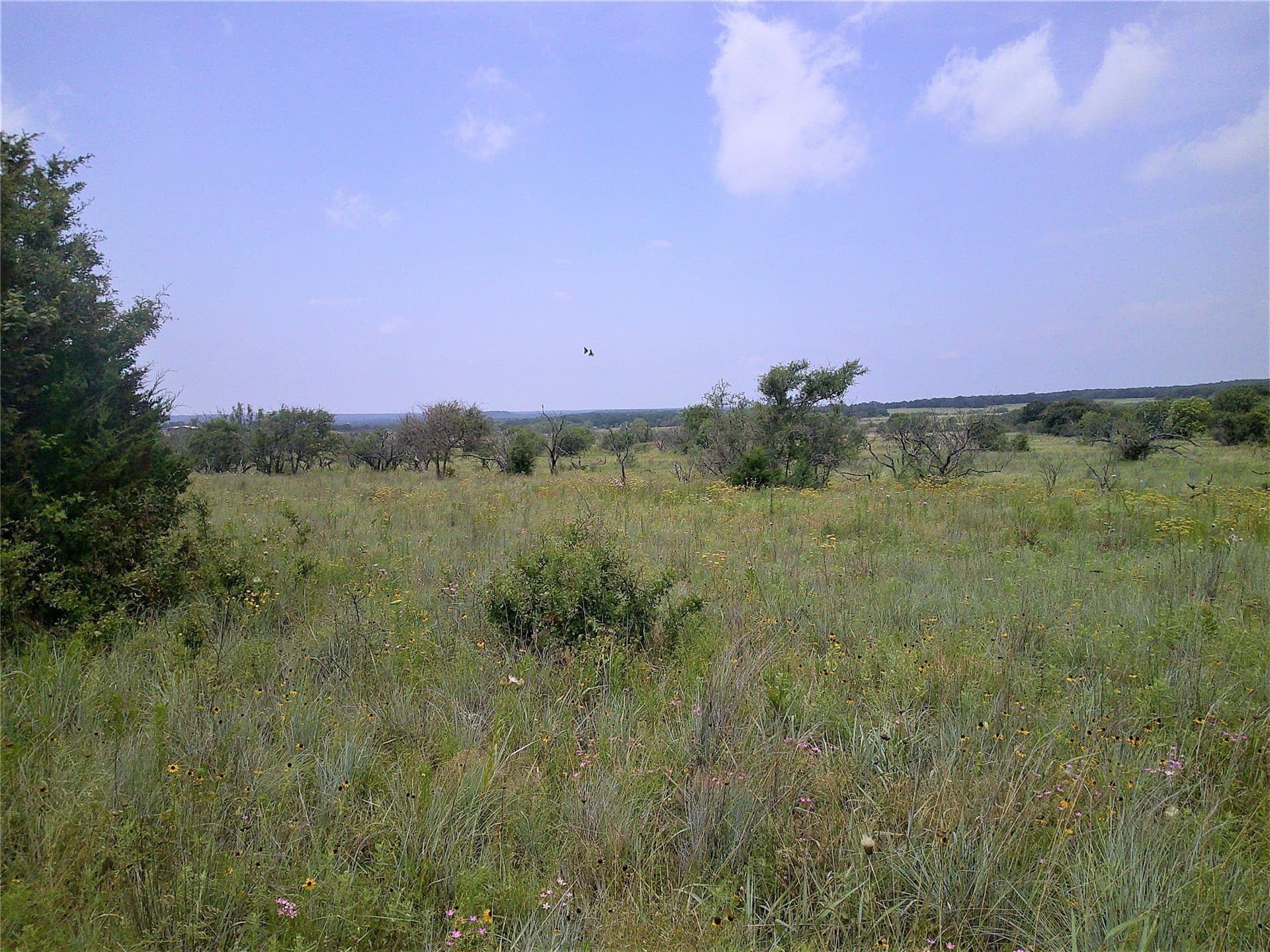 25 acres in Clay County - photo 5
