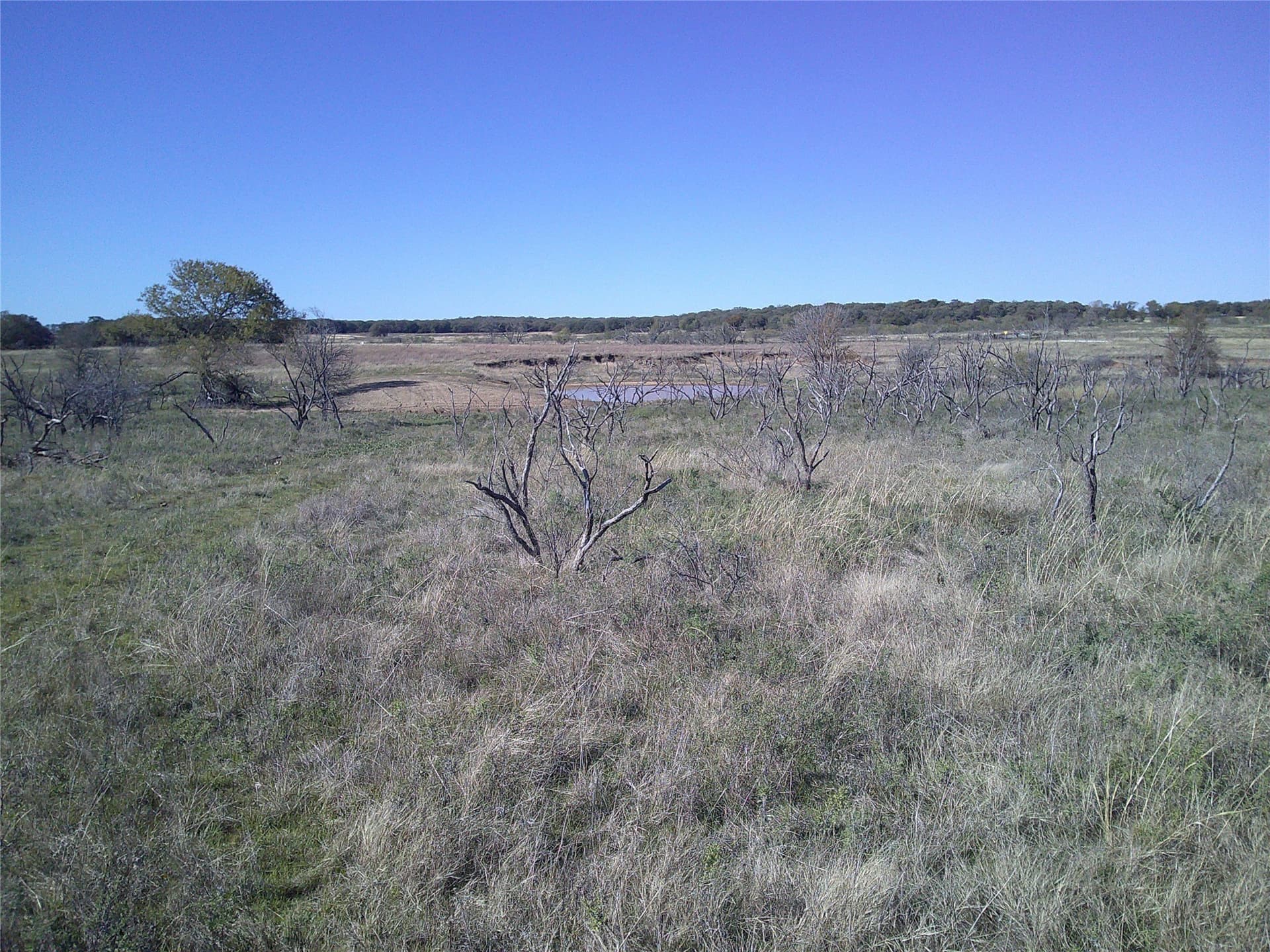 25 acres in Clay County - photo 10