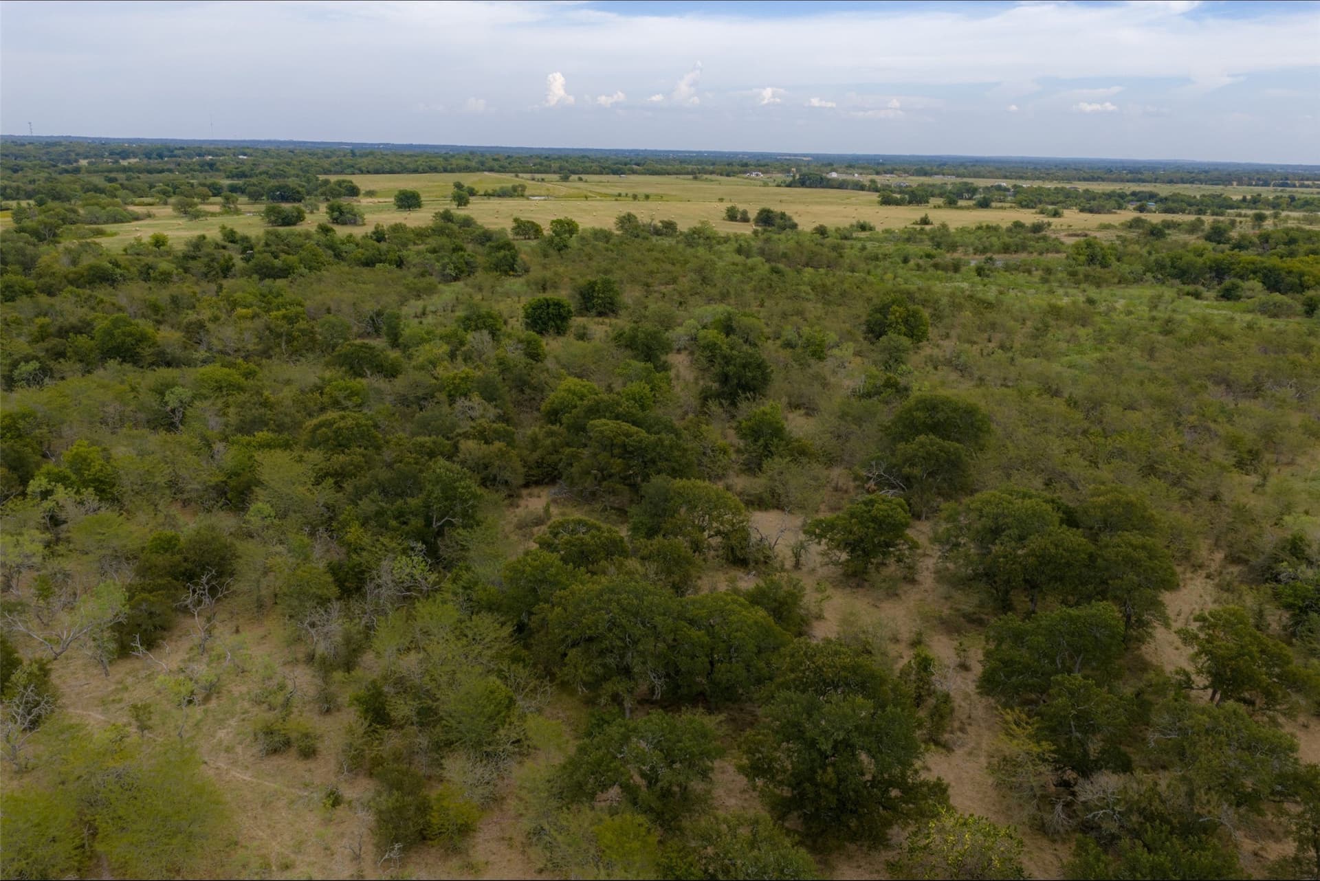 300 acres in Van Zandt County - photo 23