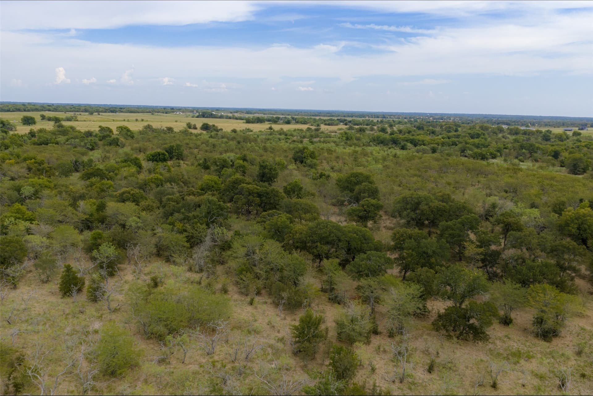300 acres in Van Zandt County - photo 9