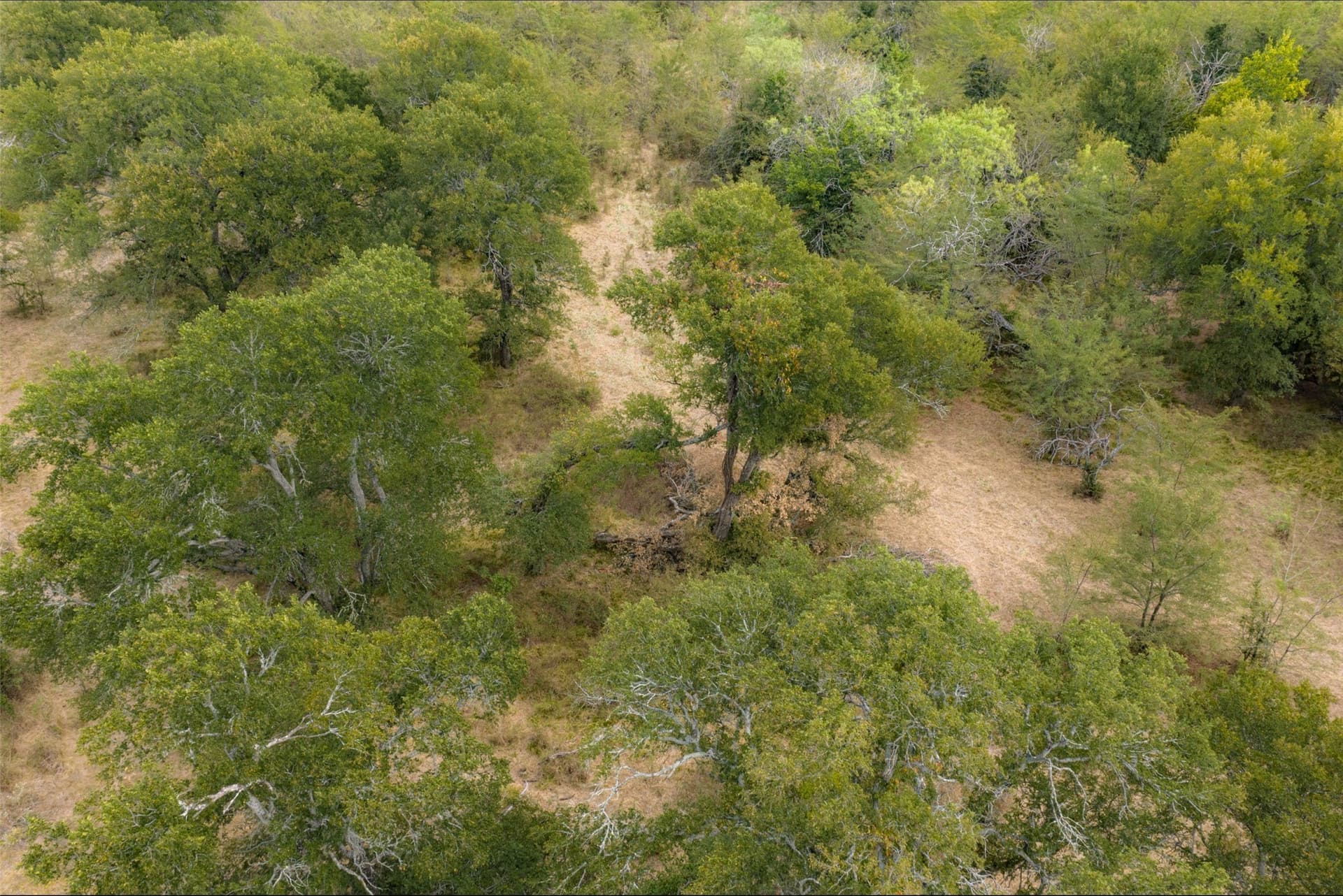 300 acres in Van Zandt County - photo 8