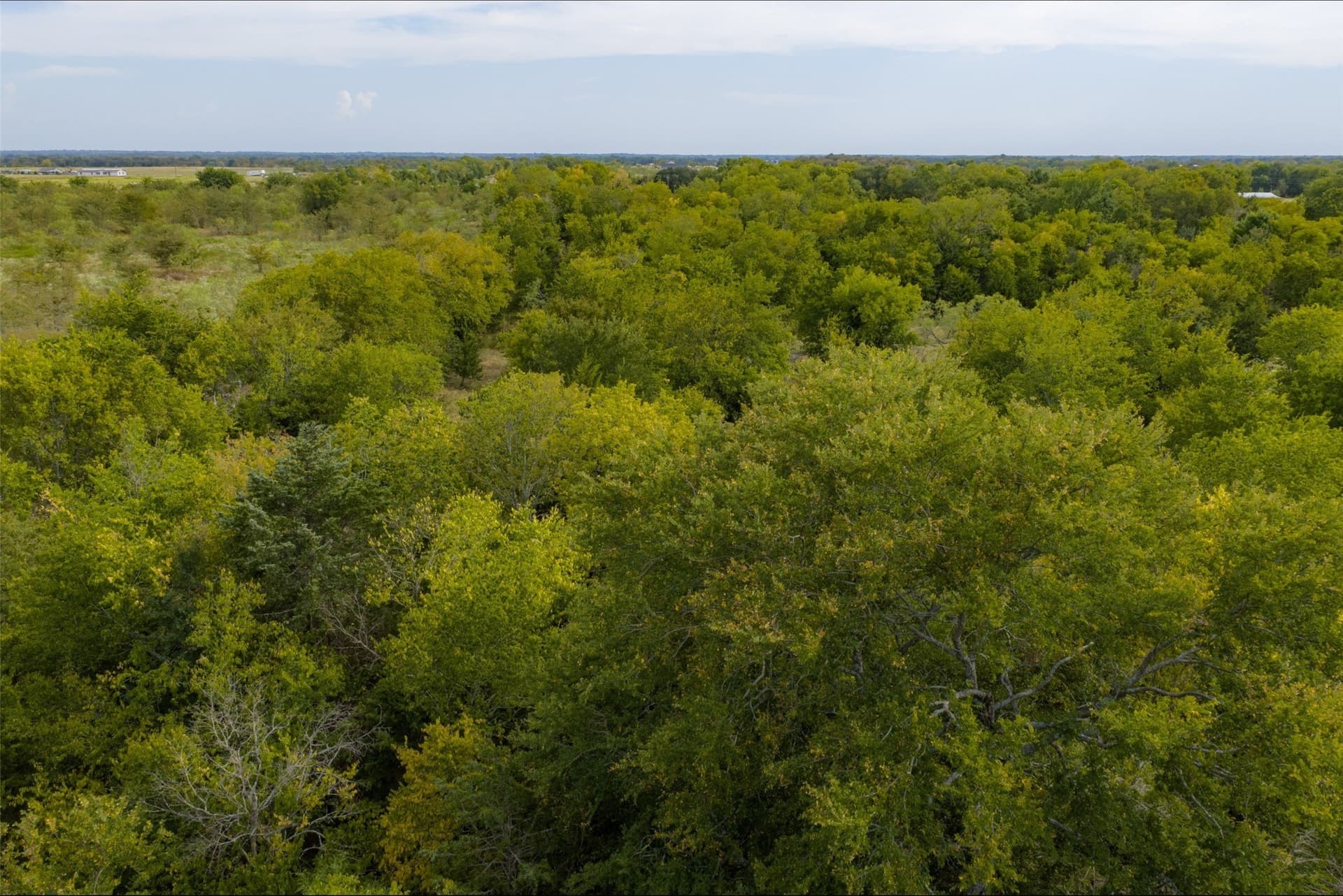 300 acres in Van Zandt County - photo 22