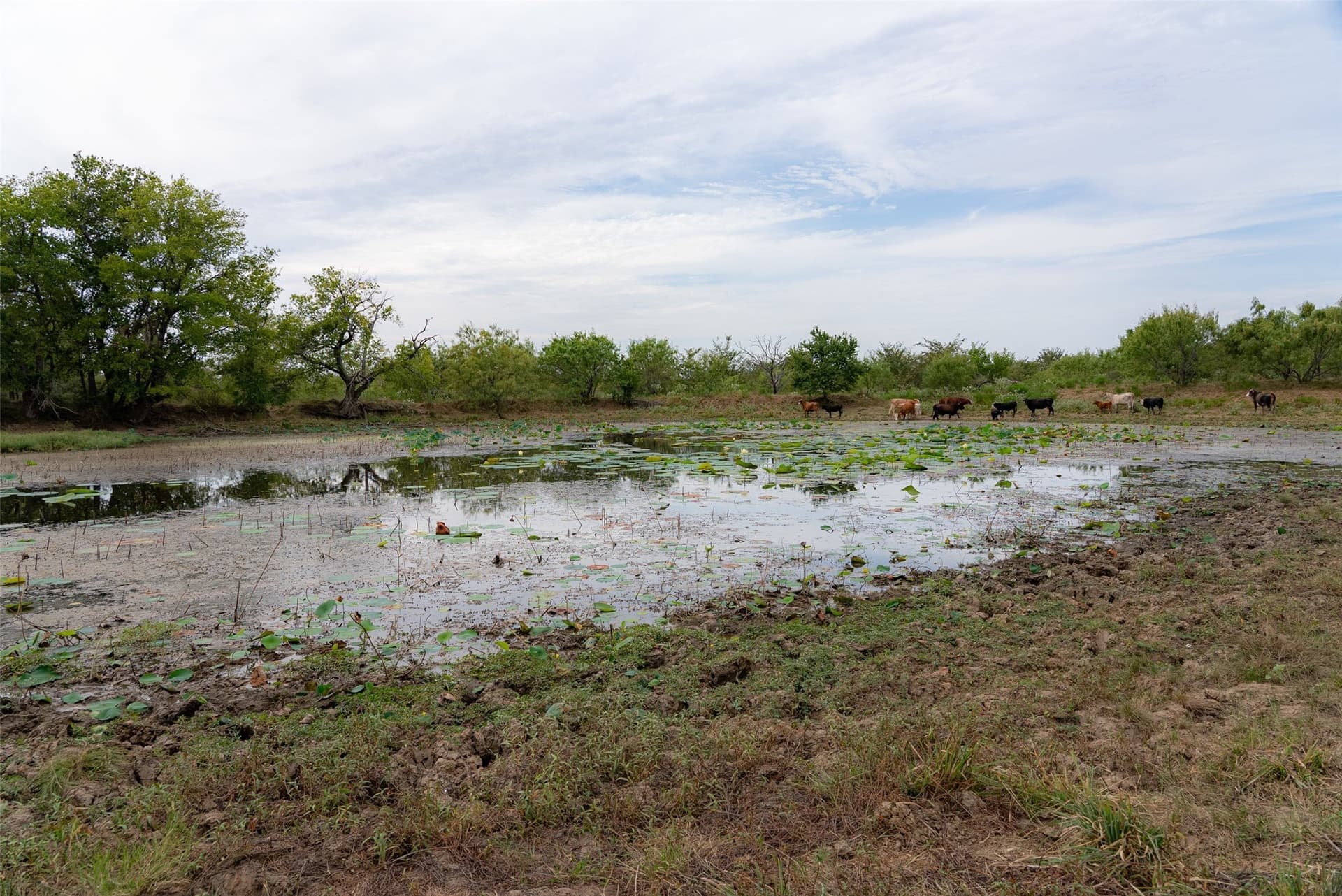 300 acres in Van Zandt County - photo 15