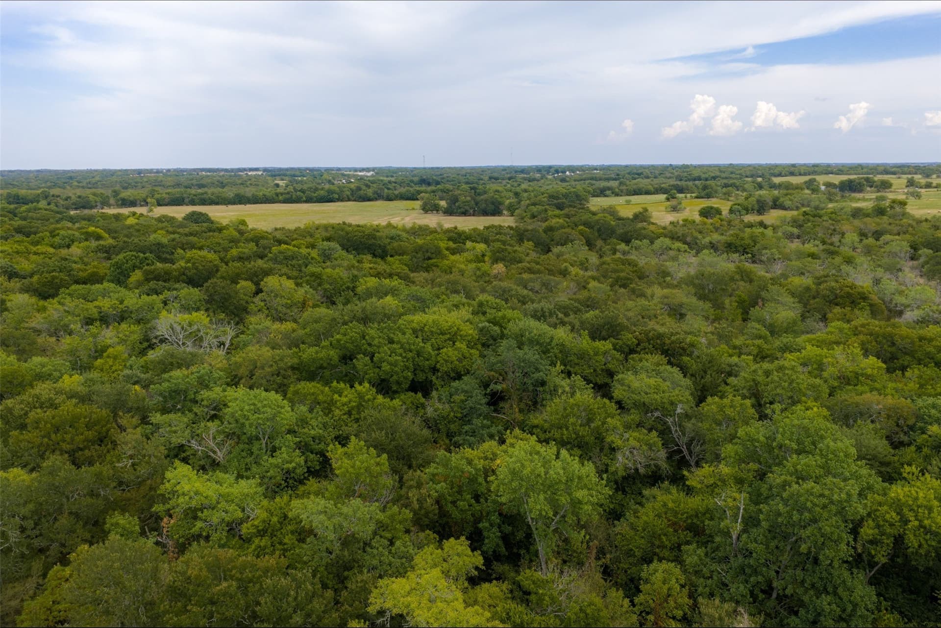 300 acres in Van Zandt County - photo 18