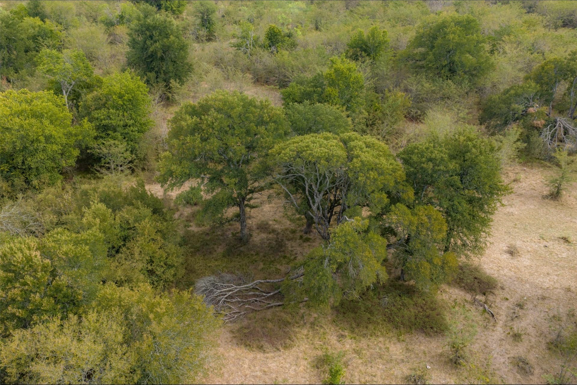 300 acres in Van Zandt County - photo 13