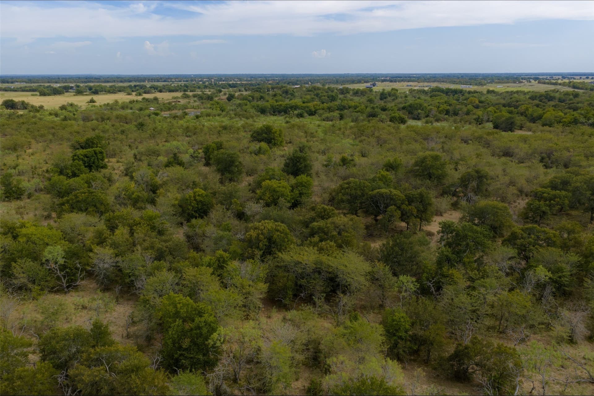 300 acres in Van Zandt County - photo 32