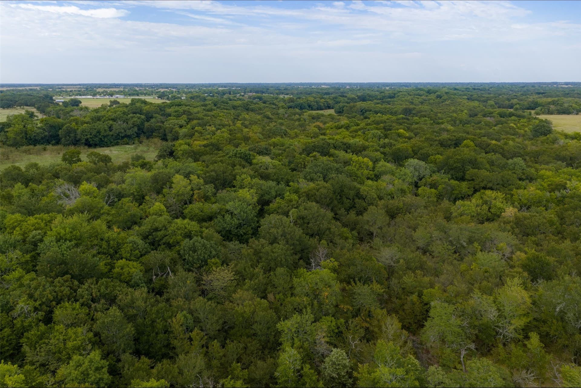 300 acres in Van Zandt County - photo 30