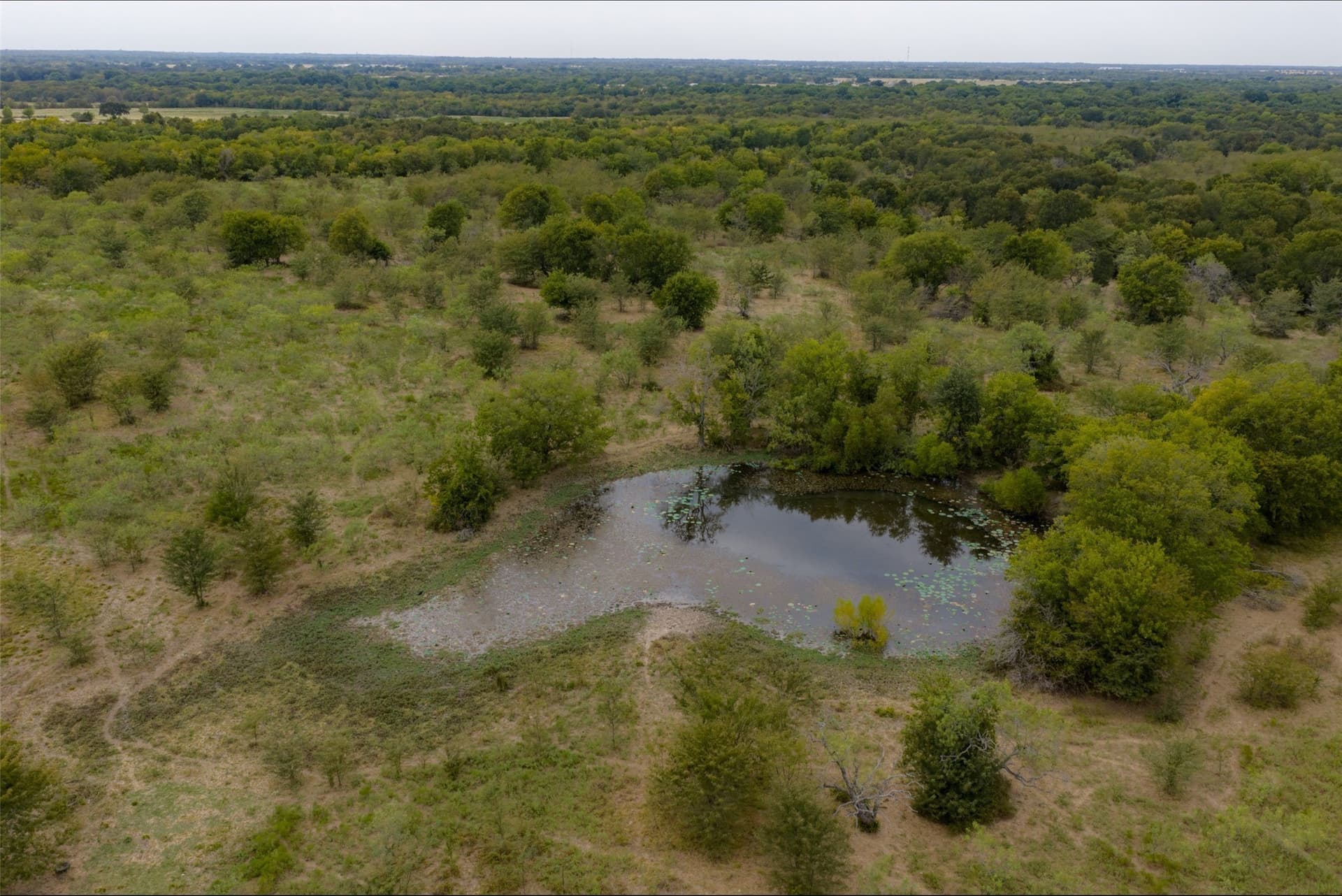 300 acres in Van Zandt County - photo 4