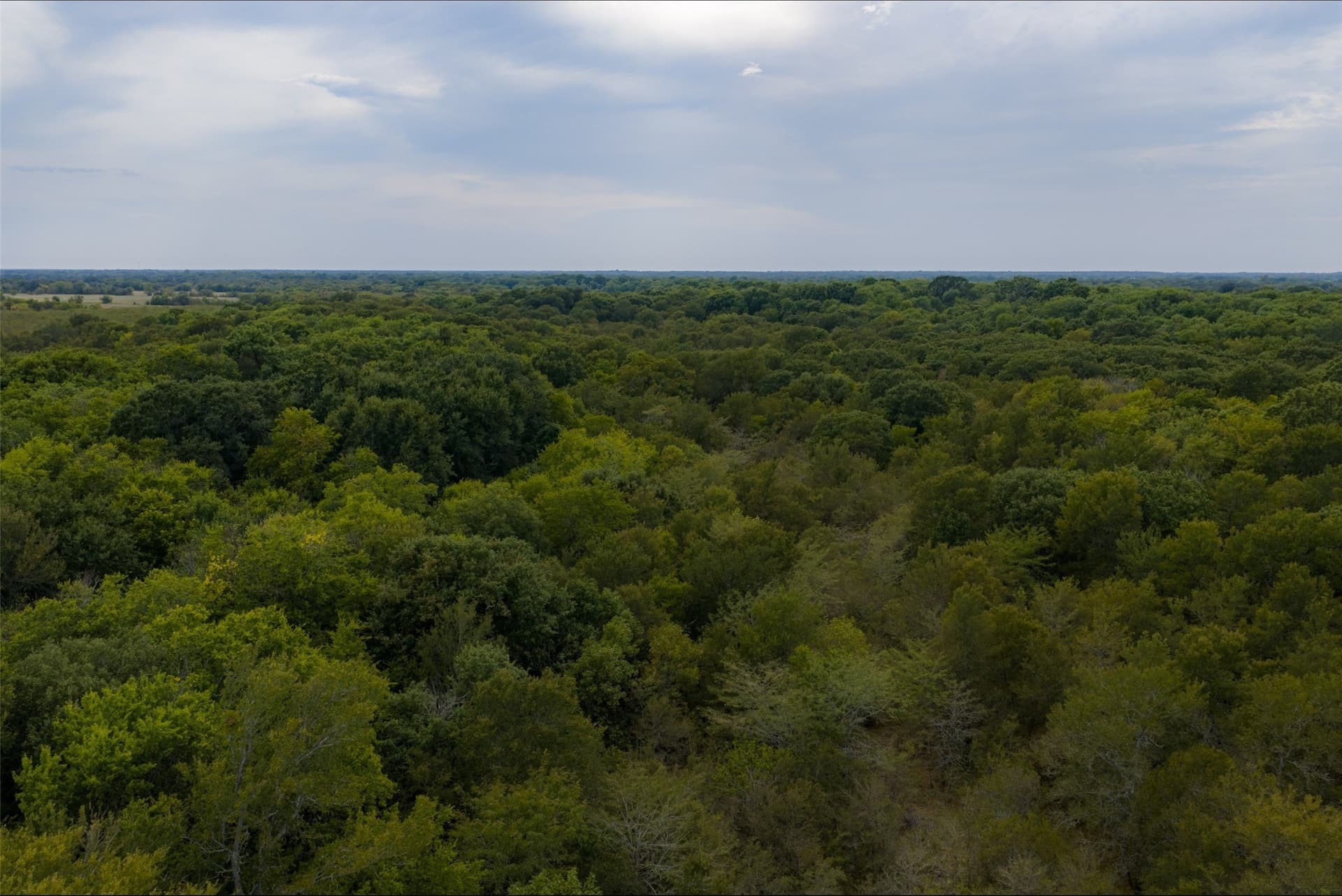 300 acres in Van Zandt County - photo 20
