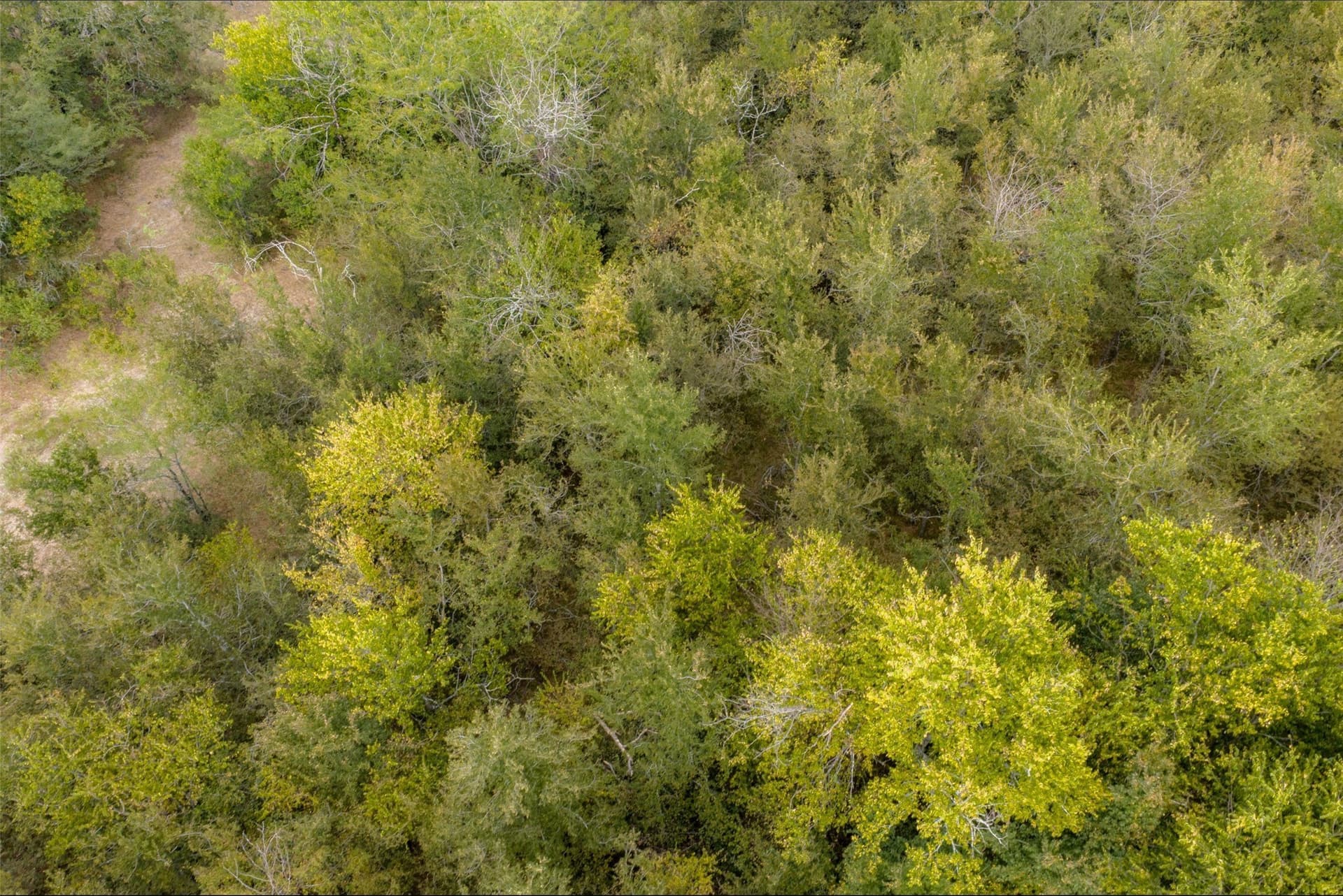 300 acres in Van Zandt County - photo 28