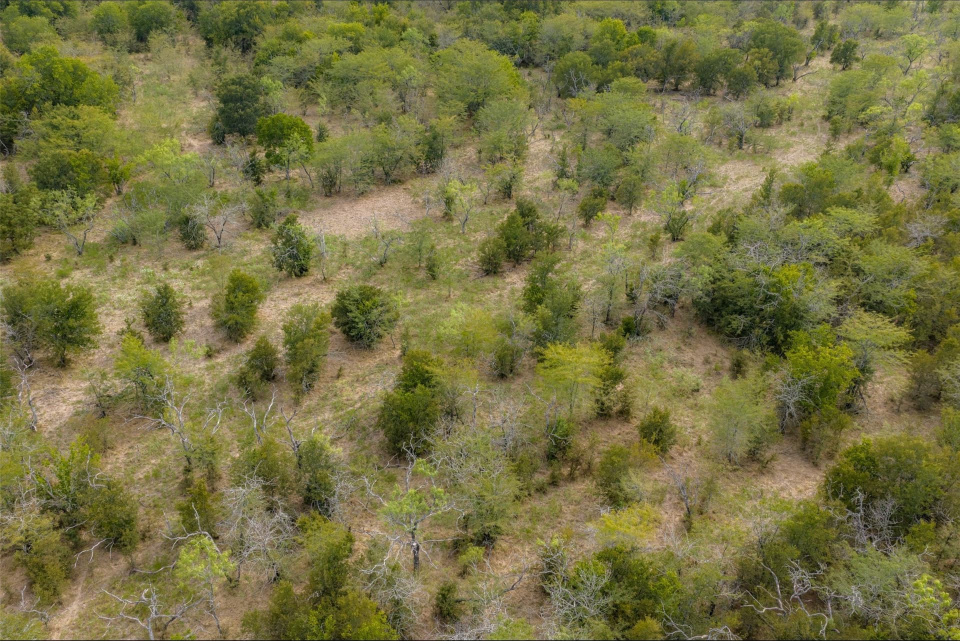 300 acres in Van Zandt County - photo 36