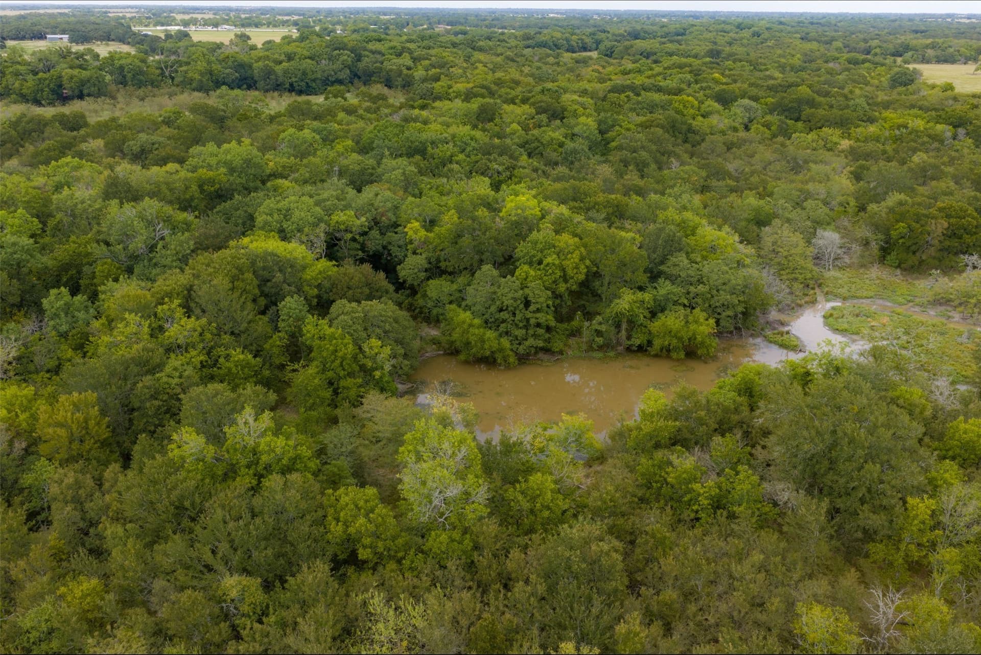 300 acres in Van Zandt County - photo 7