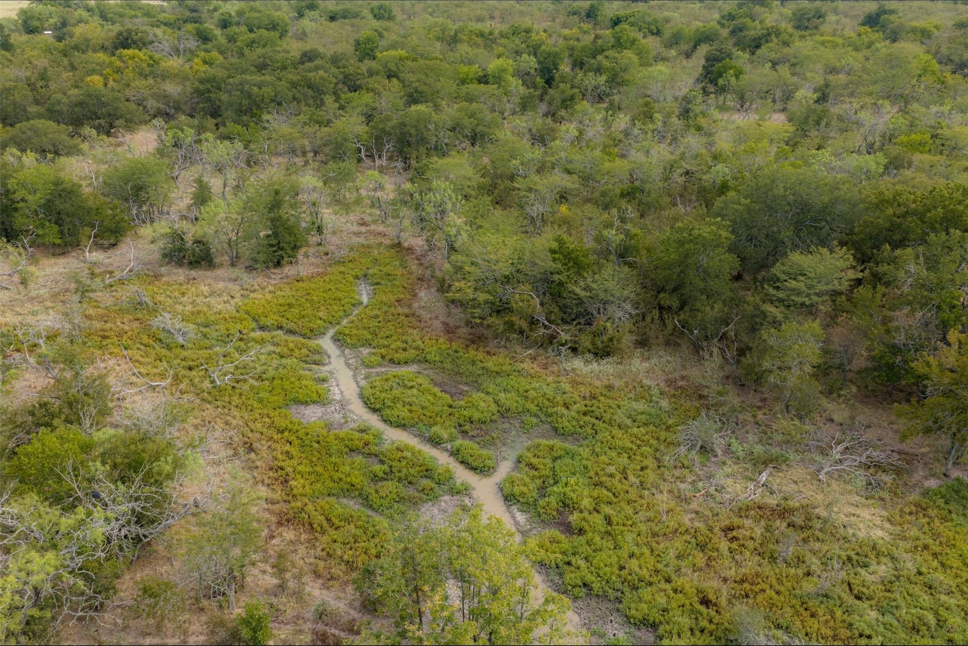 300 acres in Van Zandt County - photo 24