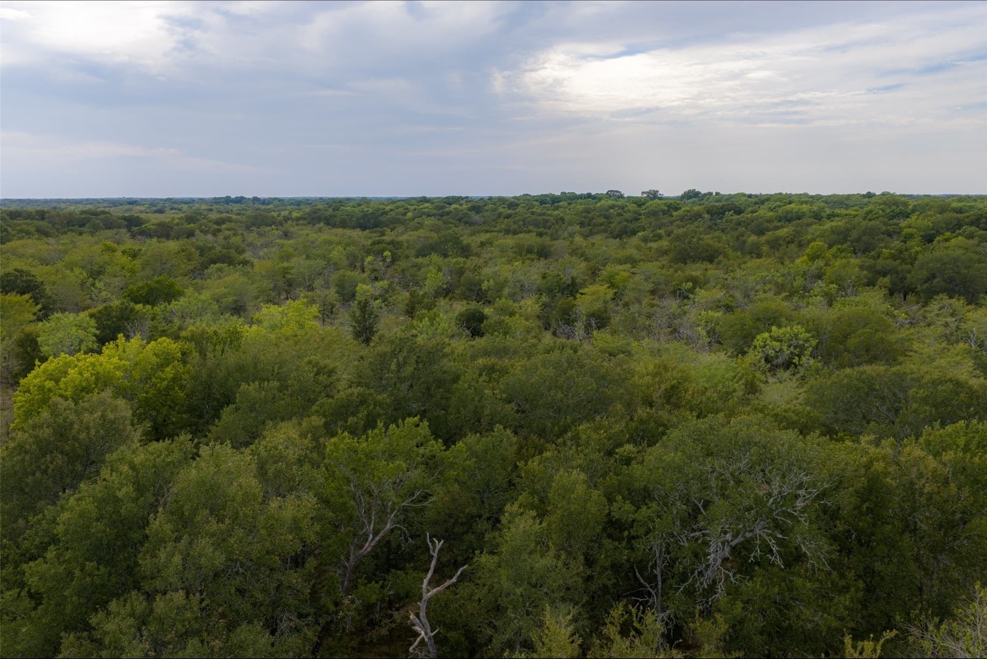 300 acres in Van Zandt County - photo 31