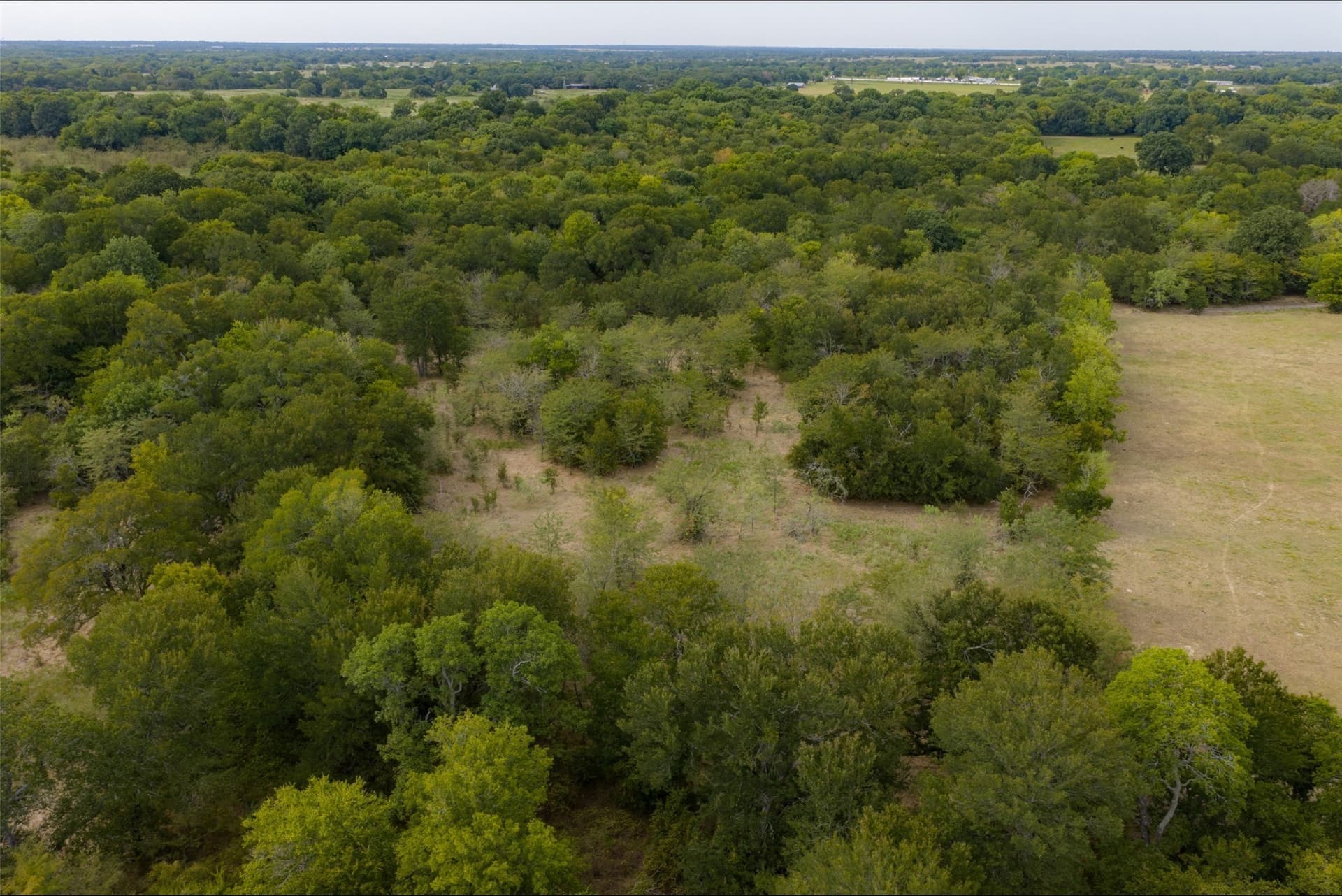 300 acres in Van Zandt County - photo 39