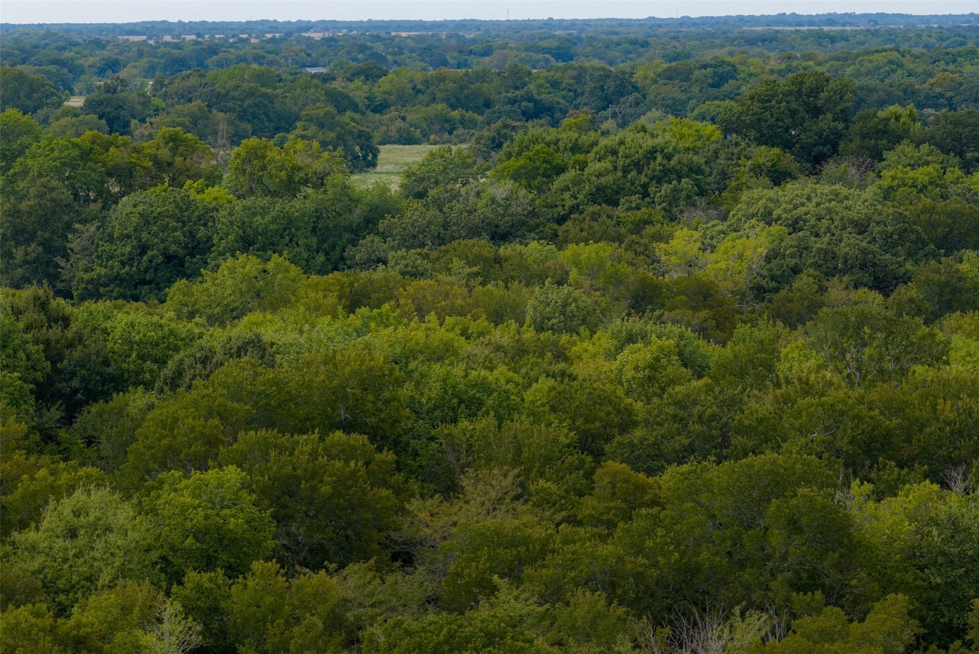 300 acres in Van Zandt County - photo 2