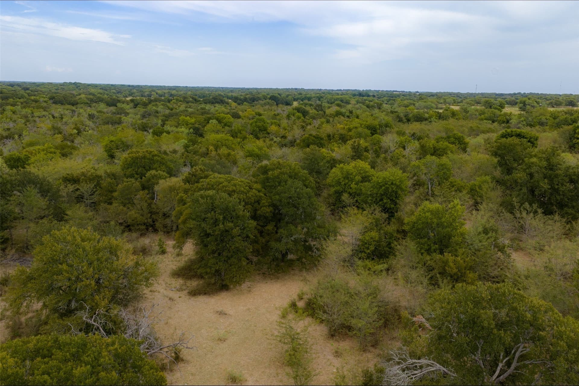 300 acres in Van Zandt County - photo 34