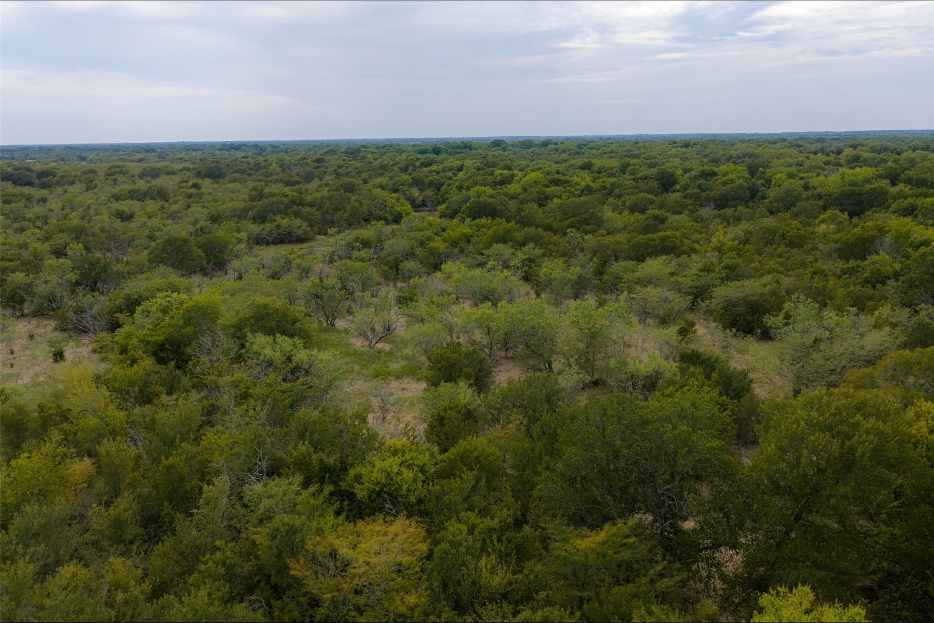 300 acres in Van Zandt County - photo 29