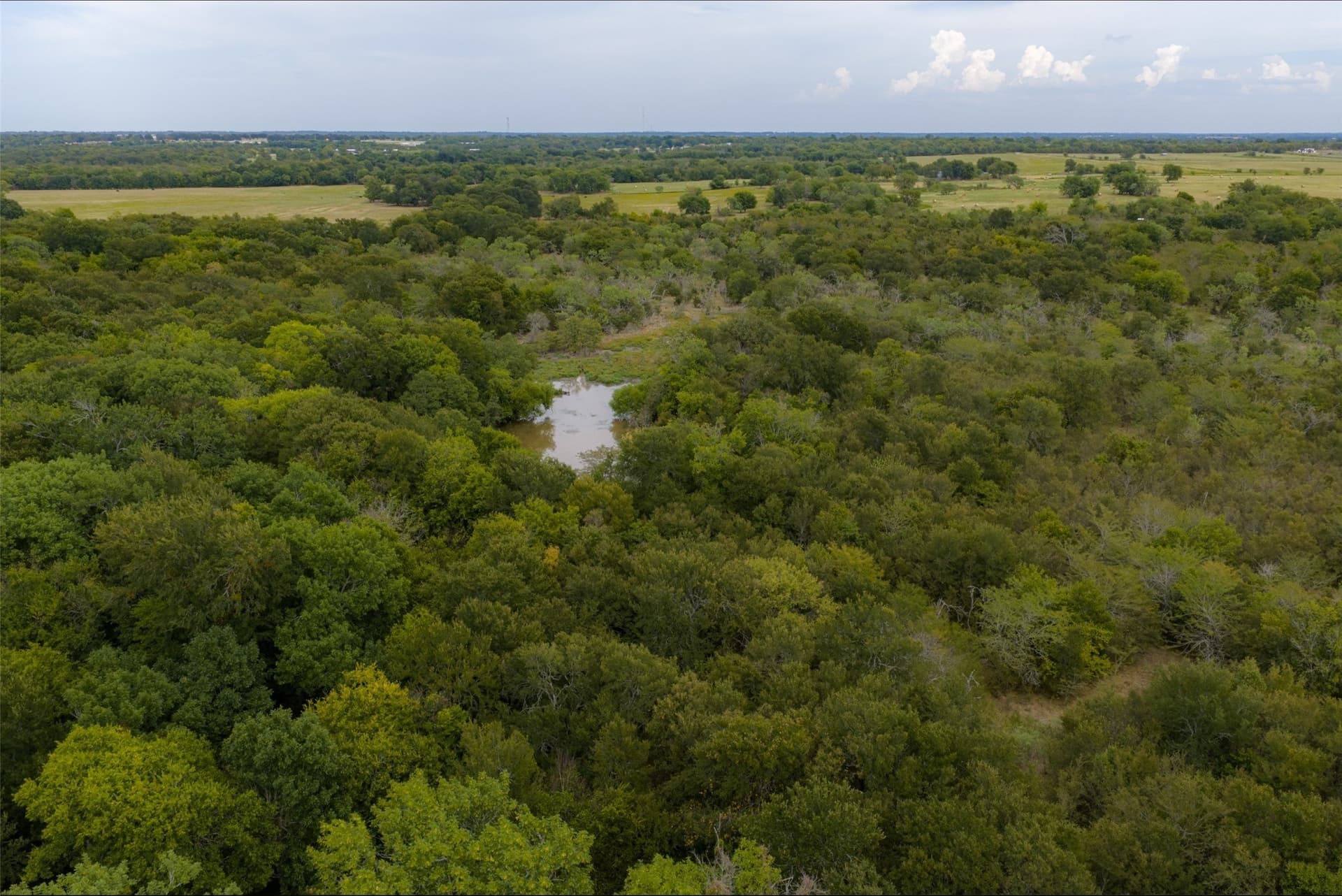 300 acres in Van Zandt County - photo 12