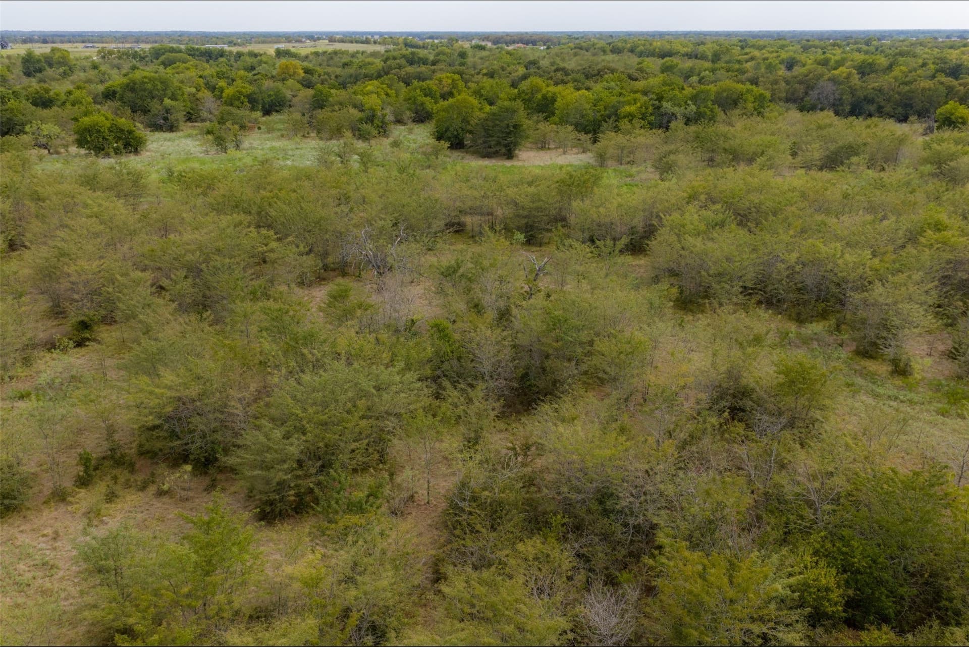 300 acres in Van Zandt County - photo 37