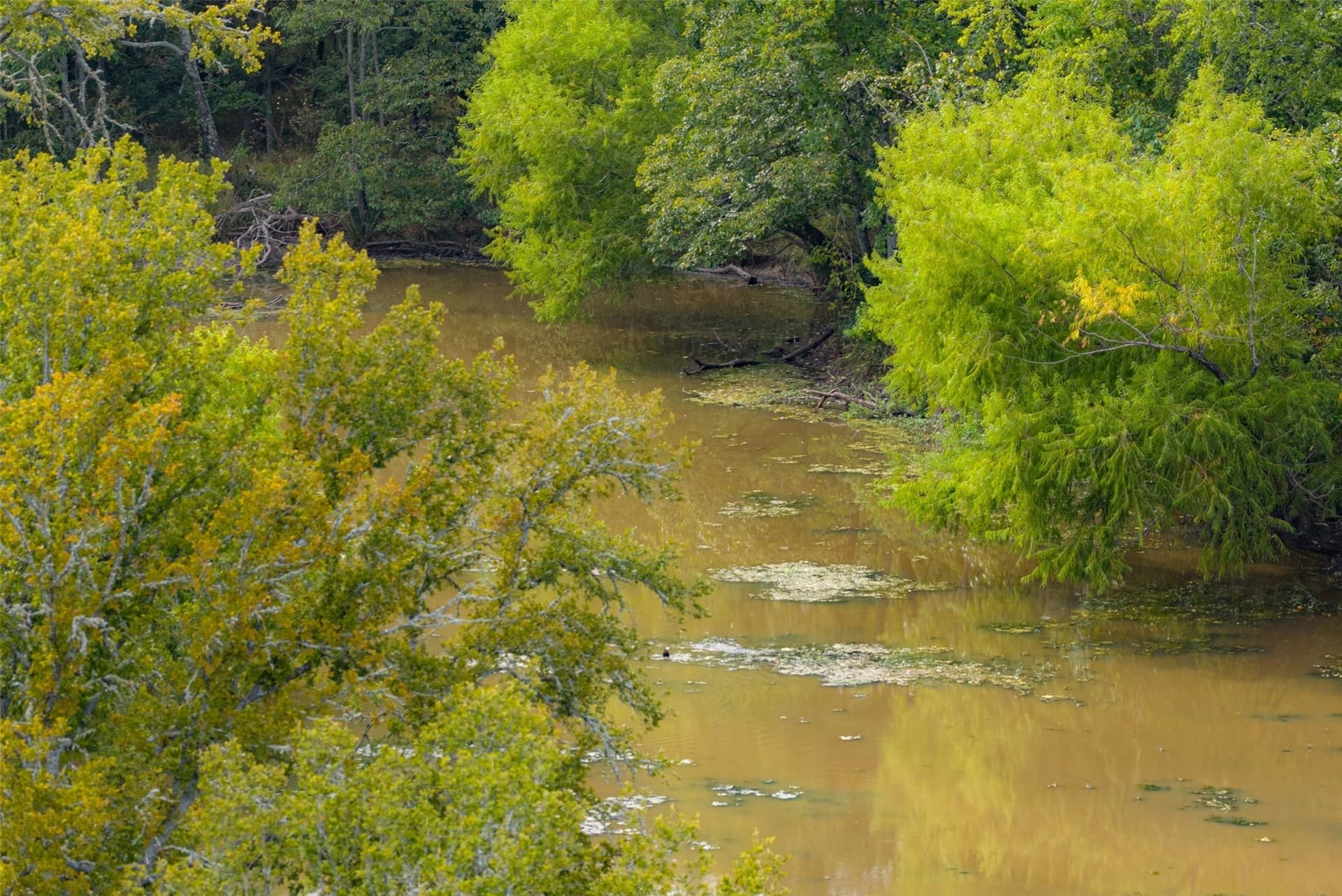 300 acres in Van Zandt County - photo 6
