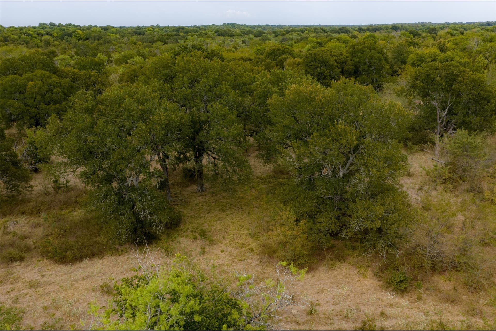 300 acres in Van Zandt County - photo 17