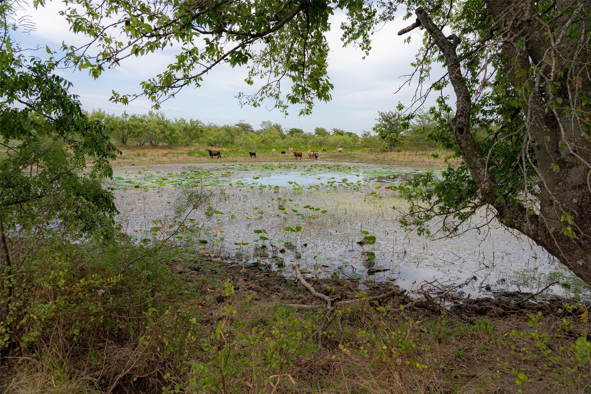 300 acres in Van Zandt County - photo 14