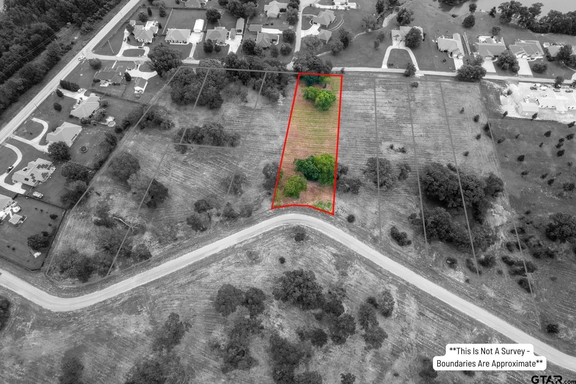1.01 acres in Titus County gallery image 4