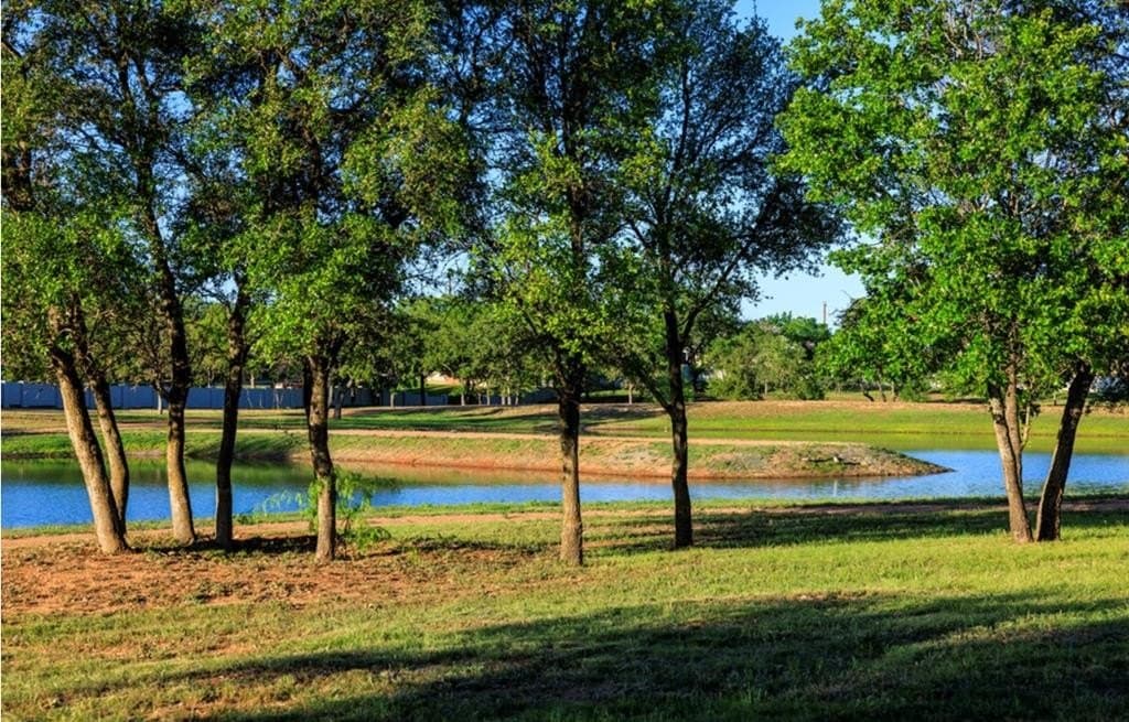 0.22 acres in Gillespie County - photo 11