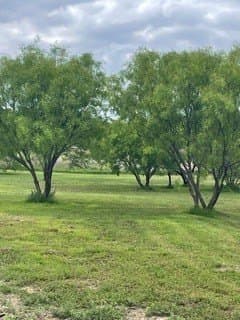 10.01 acres in Brown County - photo 29