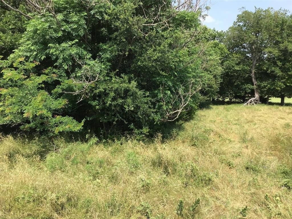 0.27 acres in Hill County gallery image 2