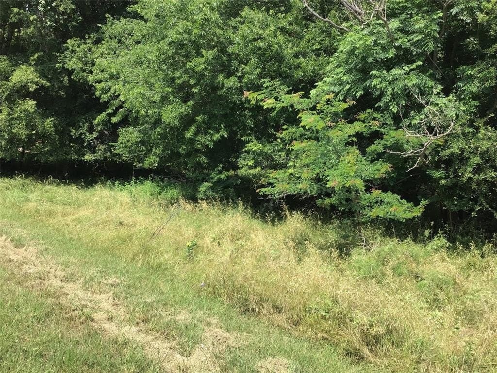 0.27 acres in Hill County gallery image 3