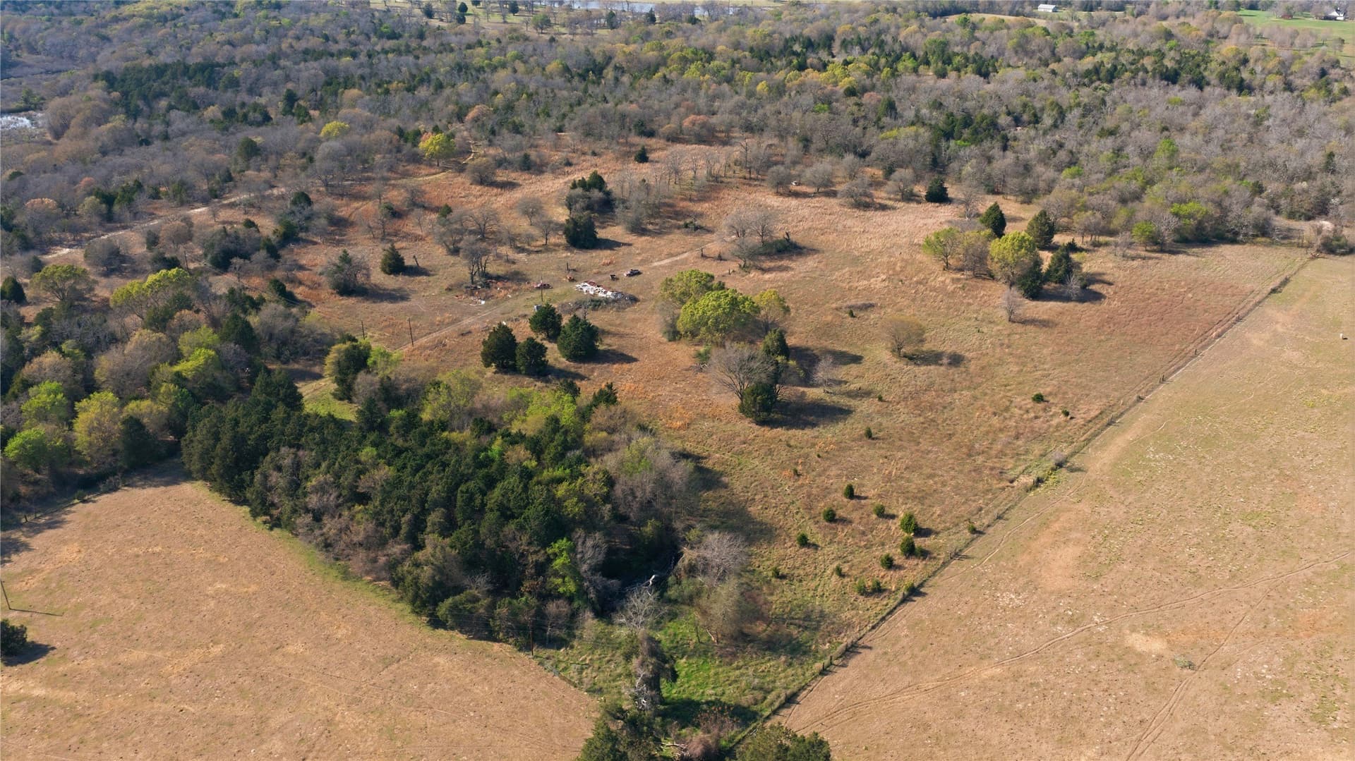 22 acres in Henderson County - photo 5