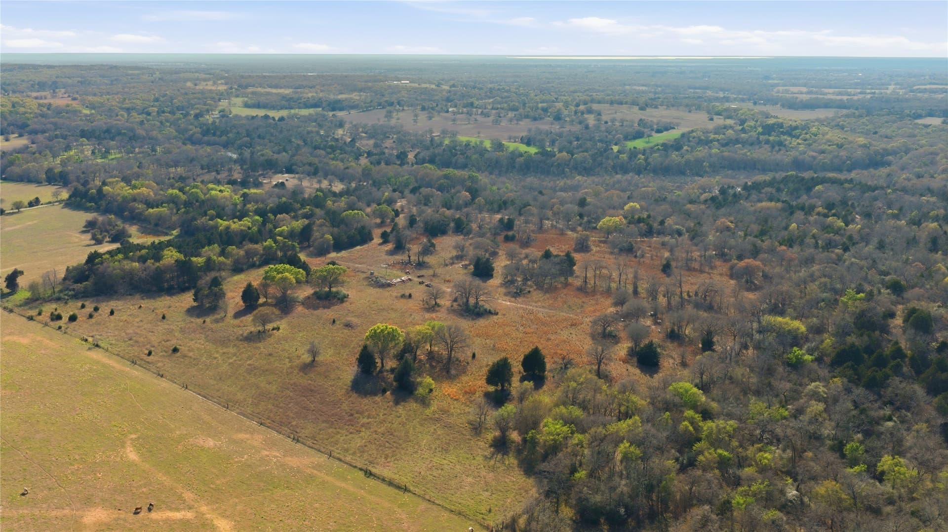 22 acres in Henderson County - photo 2