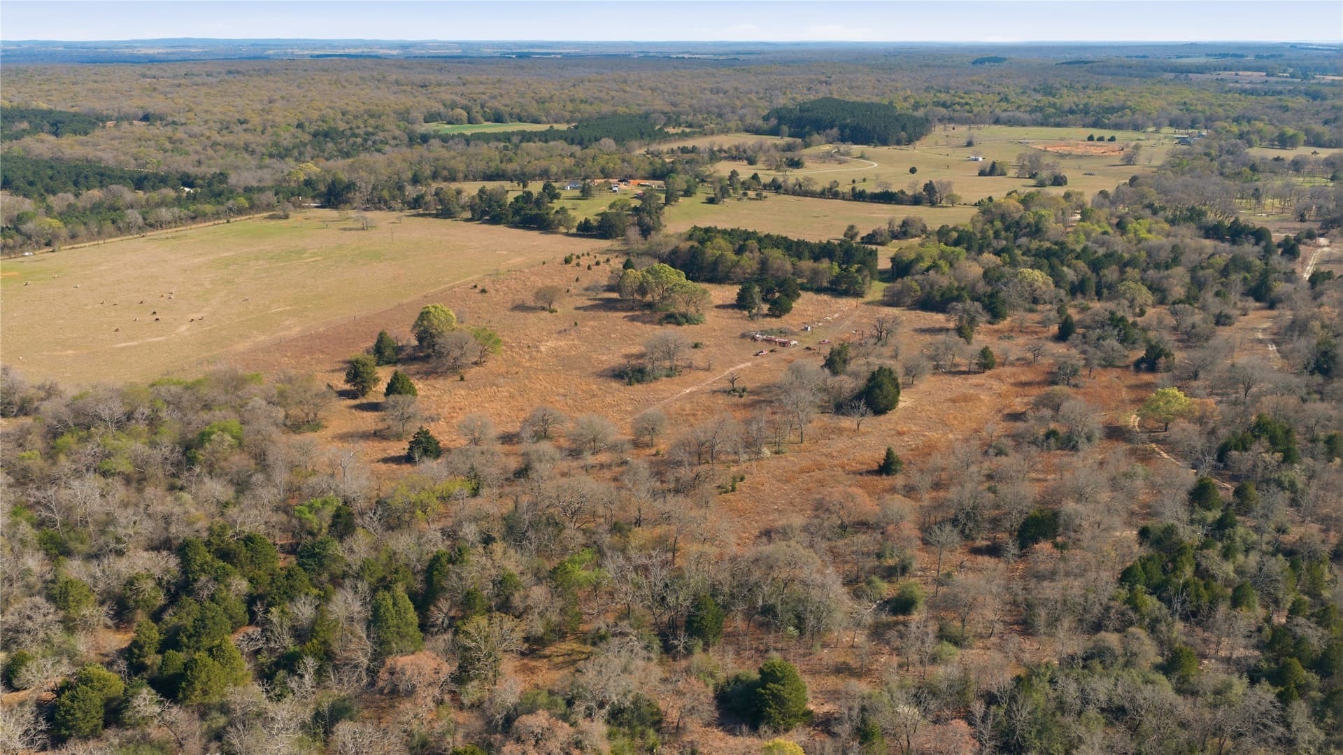 22 acres in Henderson County - photo 3