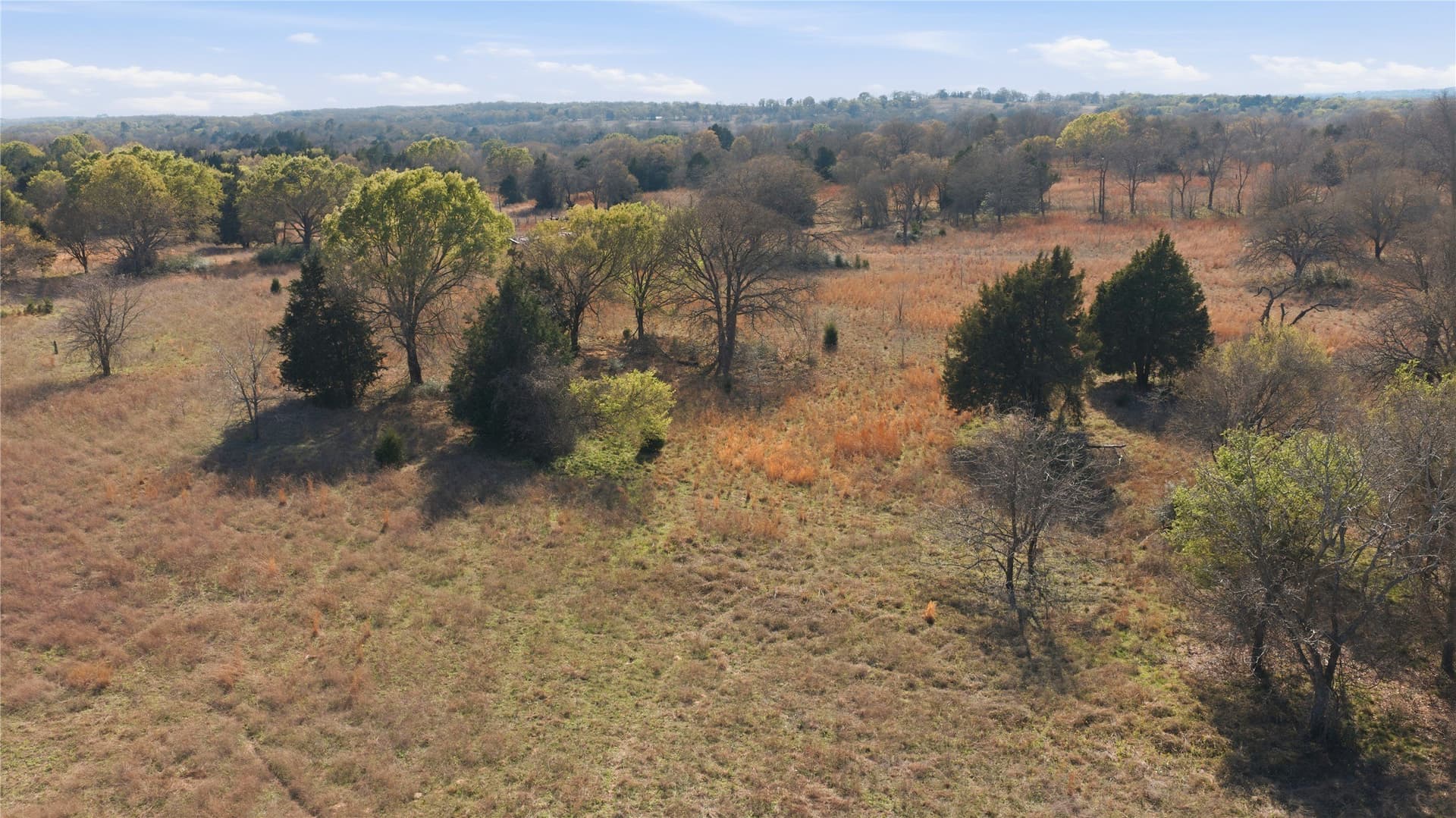22 acres in Henderson County - photo 8
