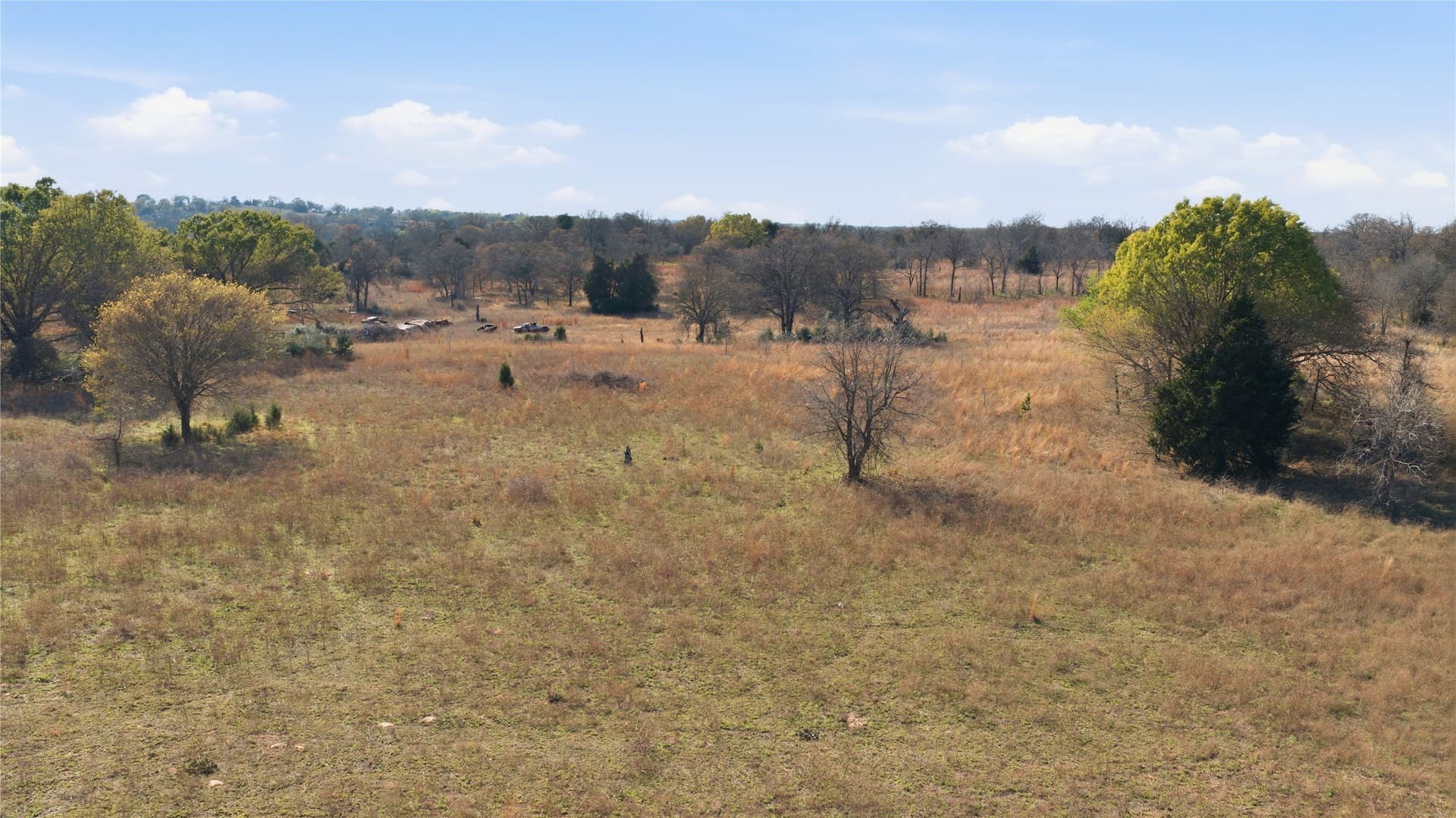 22 acres in Henderson County - photo 10