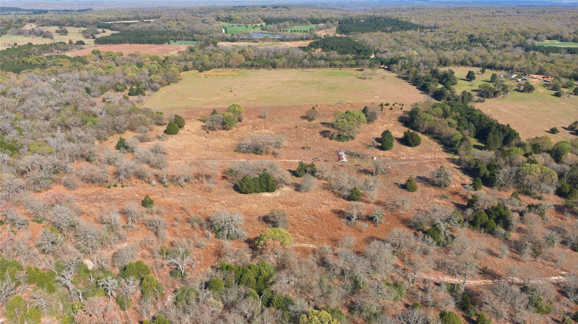 22 acres in Henderson County - photo 4