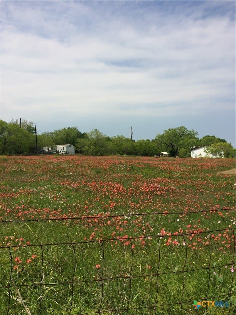 0.73 acres in Guadalupe County - photo 10
